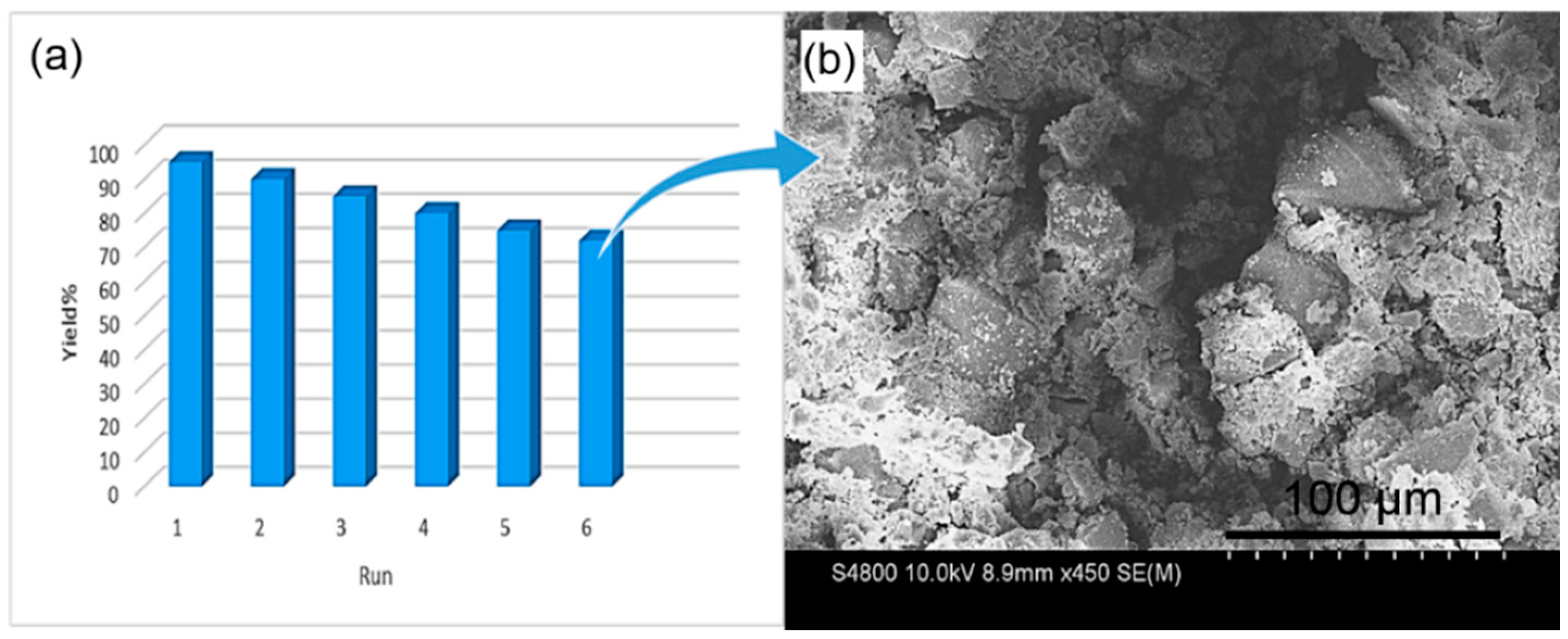 Catalysts 09 00140 g005