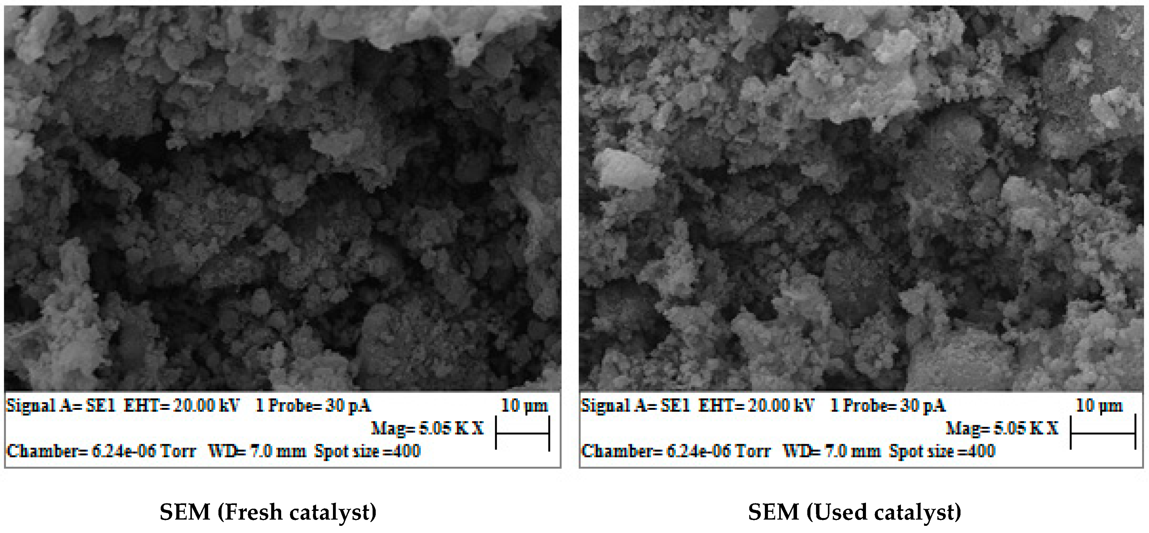 Catalysts 09 00143 g006b