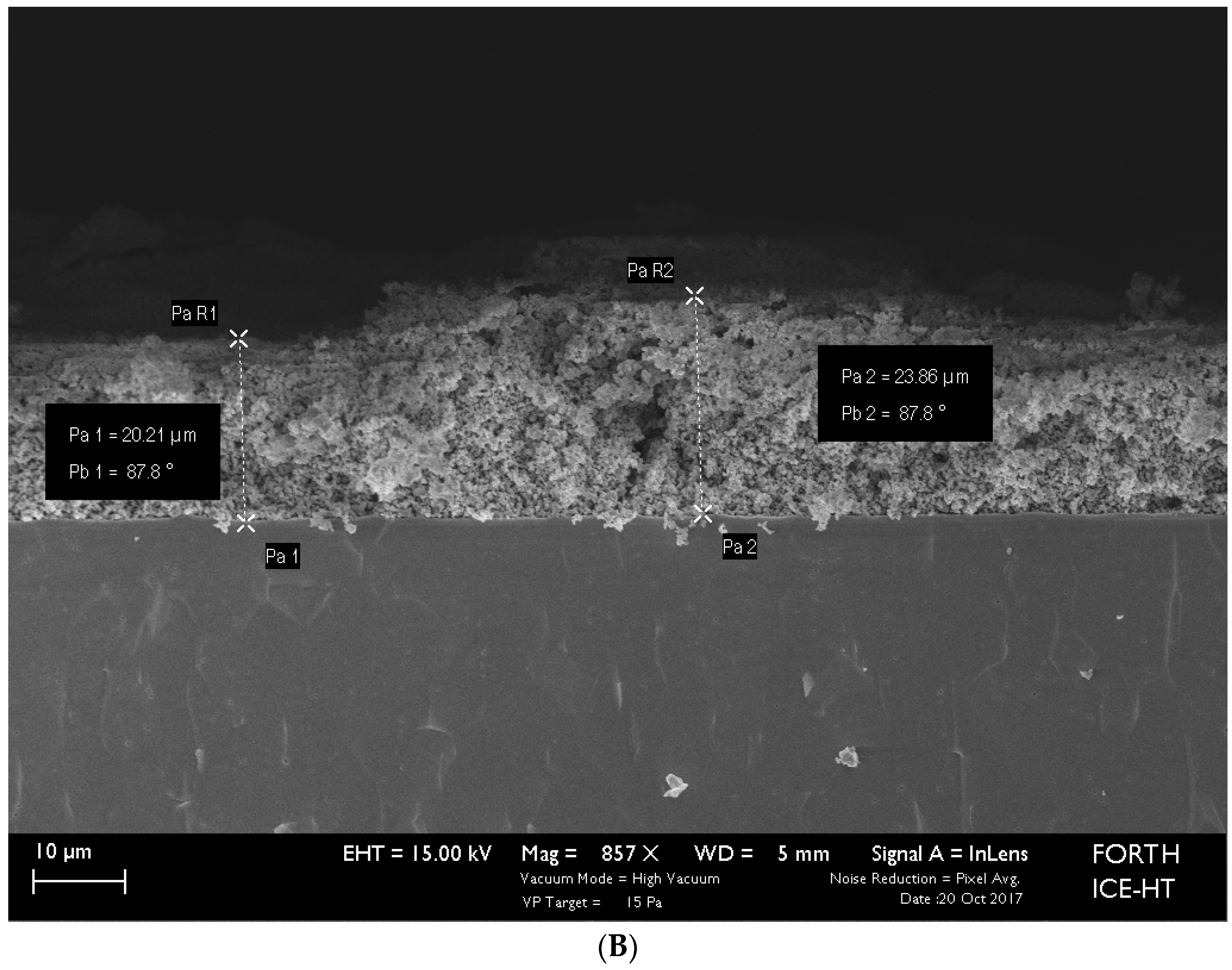 Catalysts 09 00151 g009b