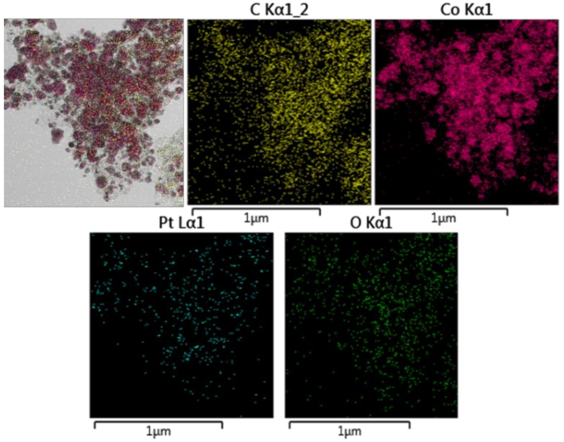 Catalysts 09 00156 g006