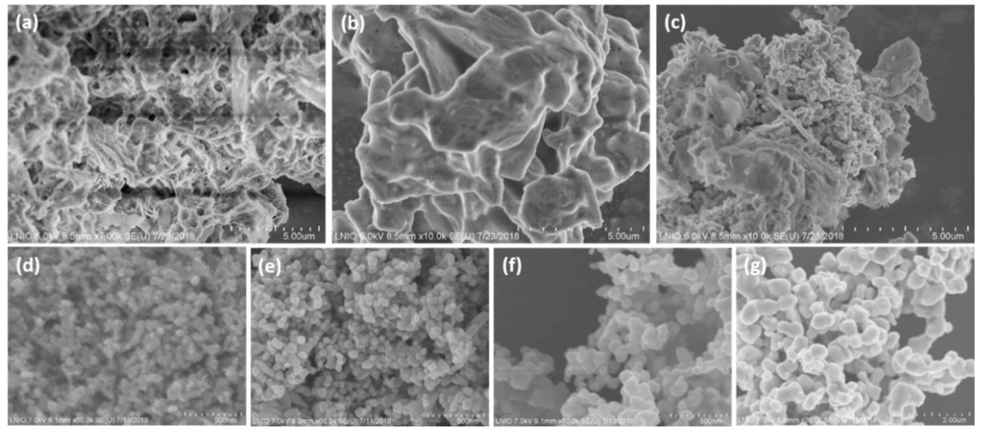 Catalysts 09 00162 g004