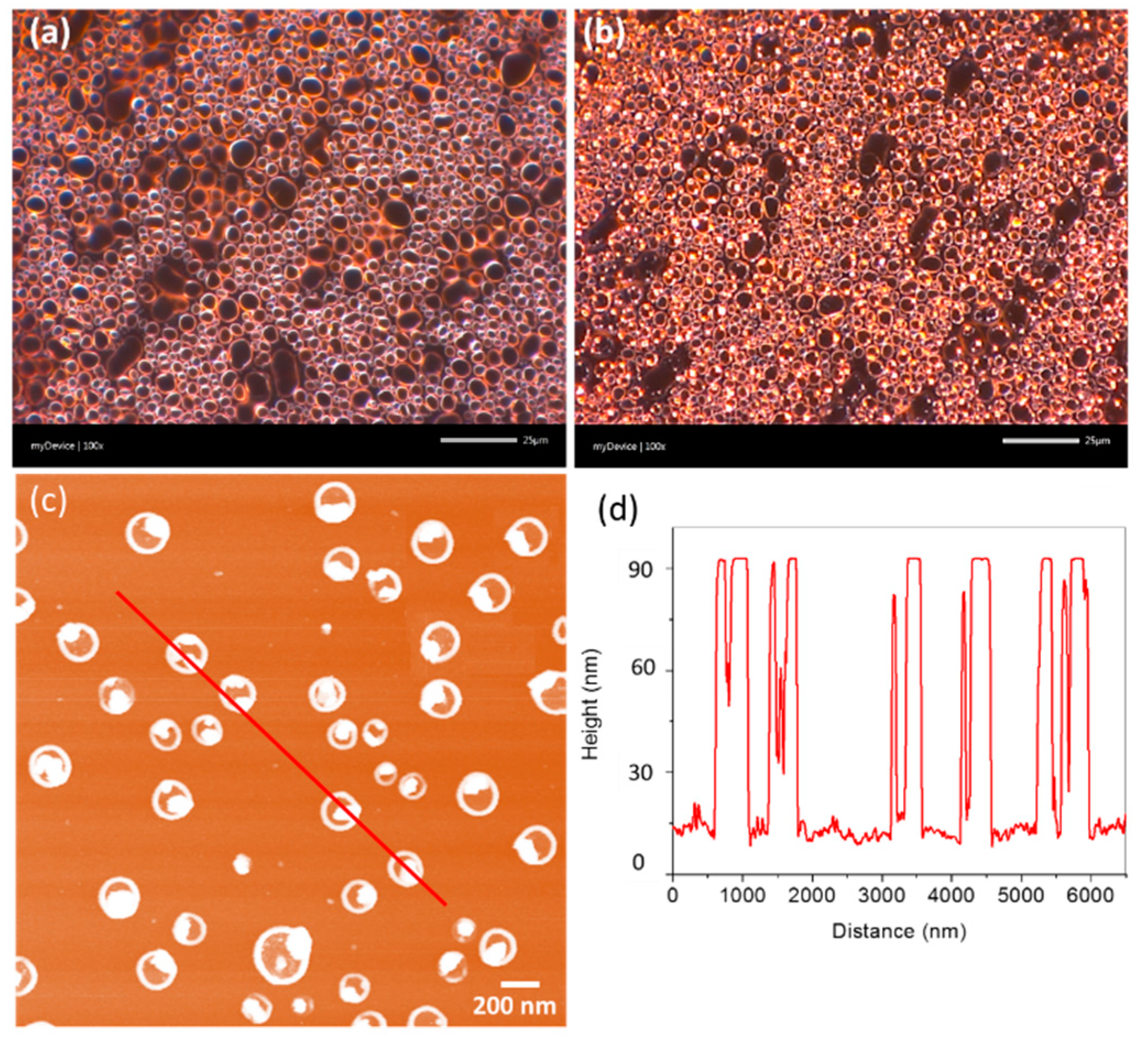 Catalysts 09 00162 g012
