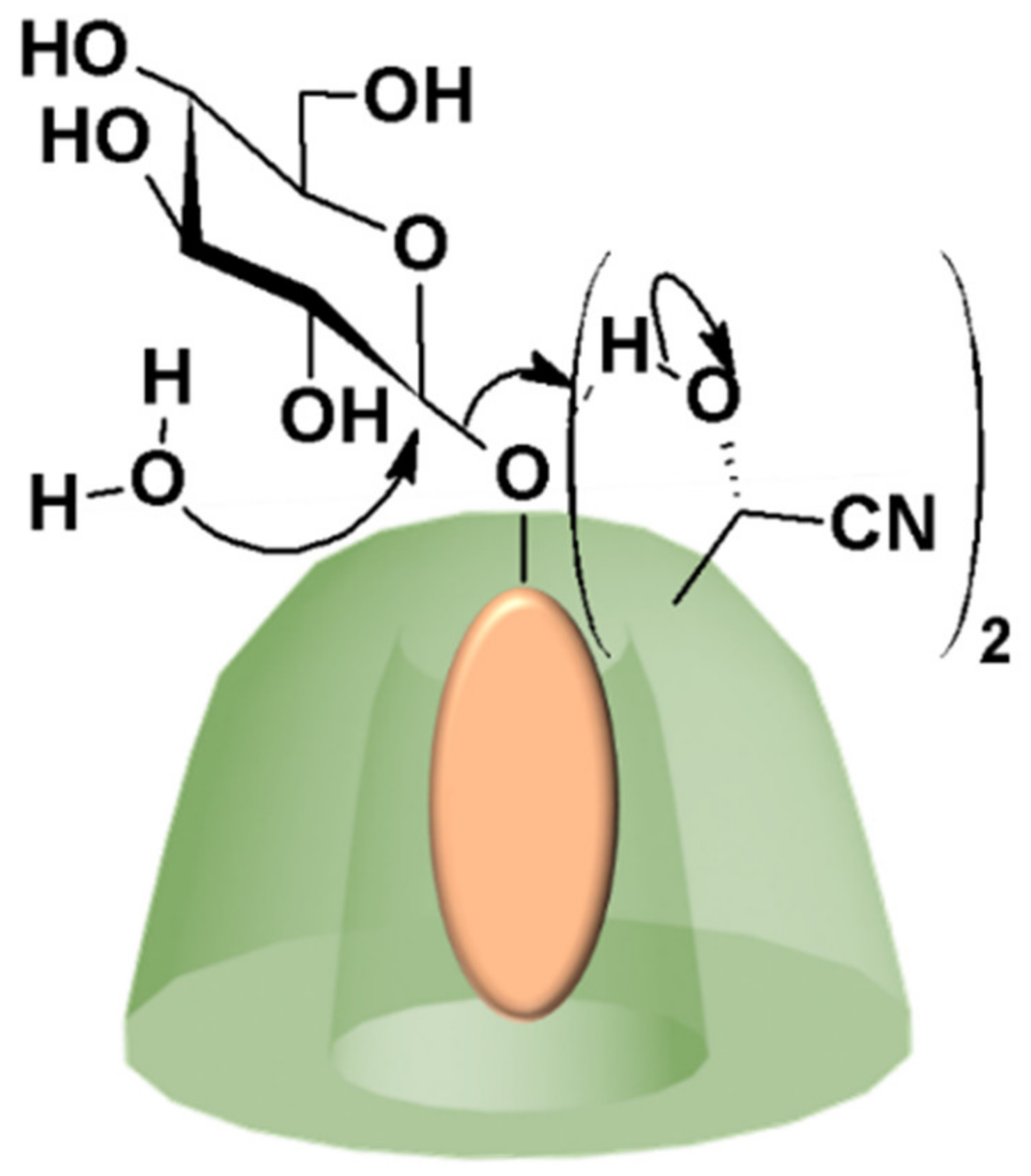 Catalysts 09 00163 g008