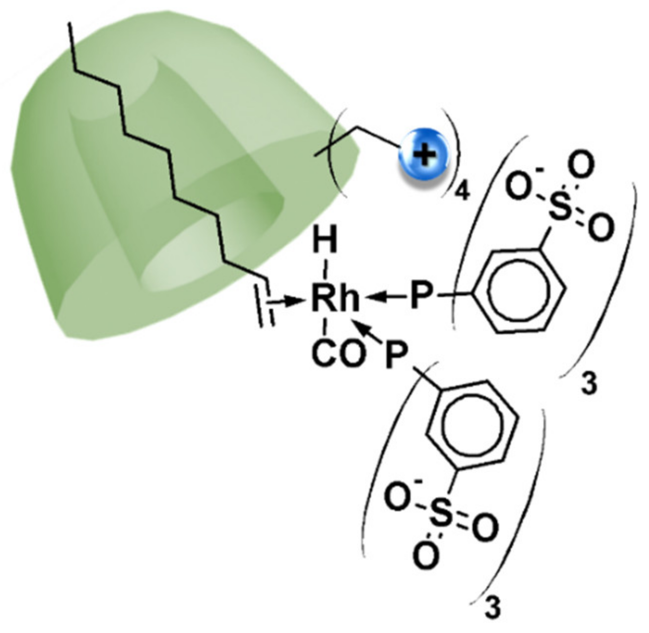 Catalysts 09 00163 g013