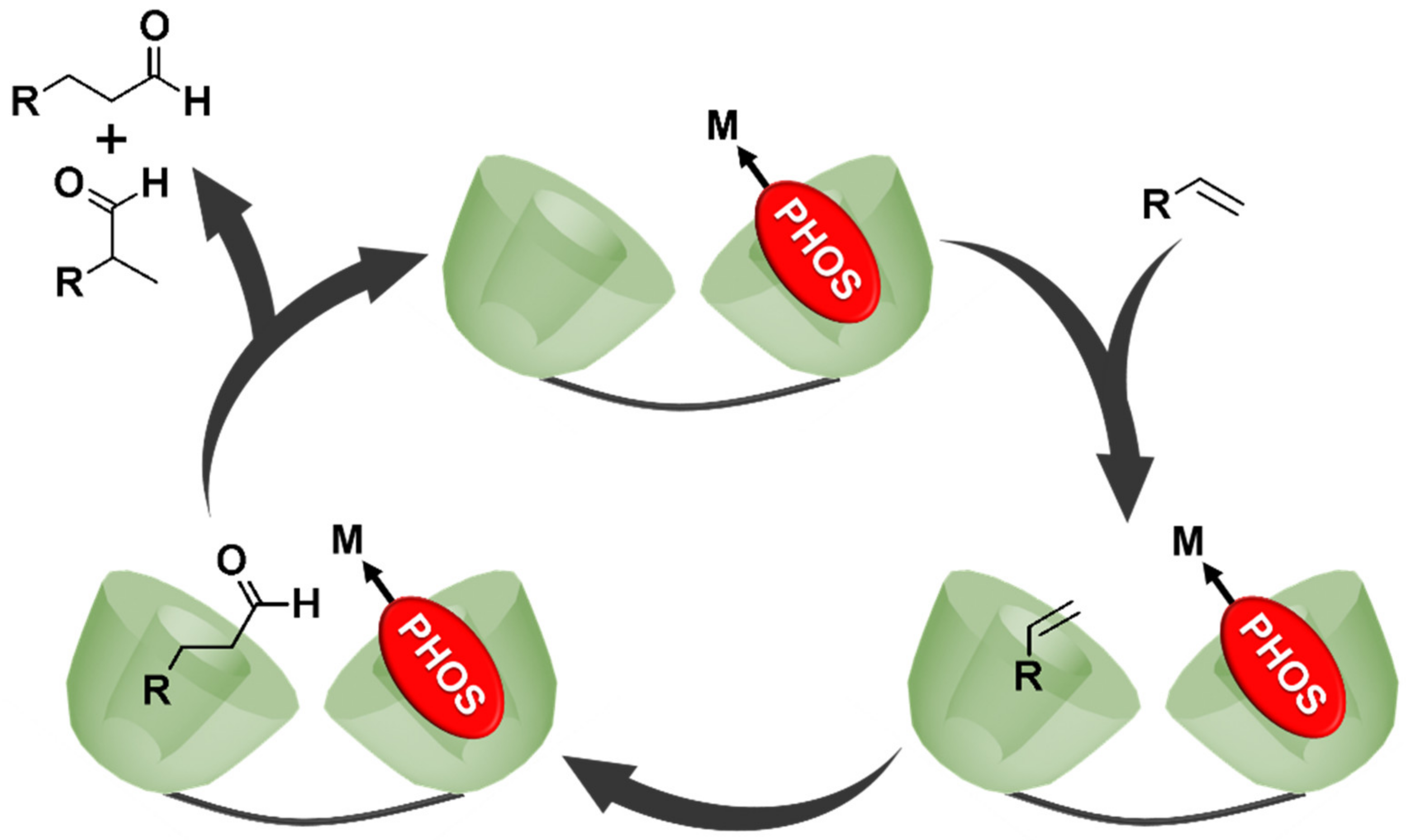 Catalysts 09 00163 g015