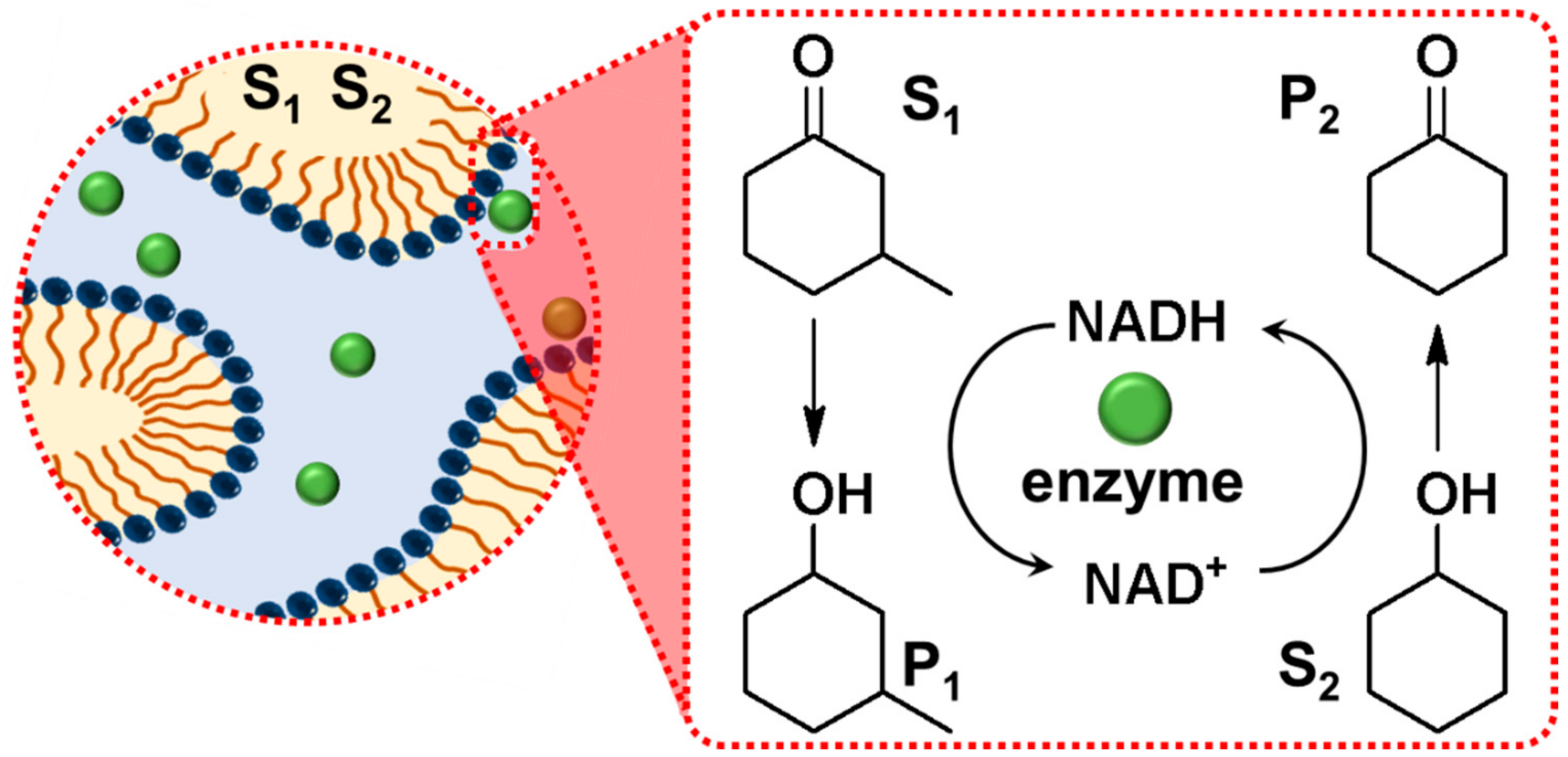 Catalysts 09 00163 g034
