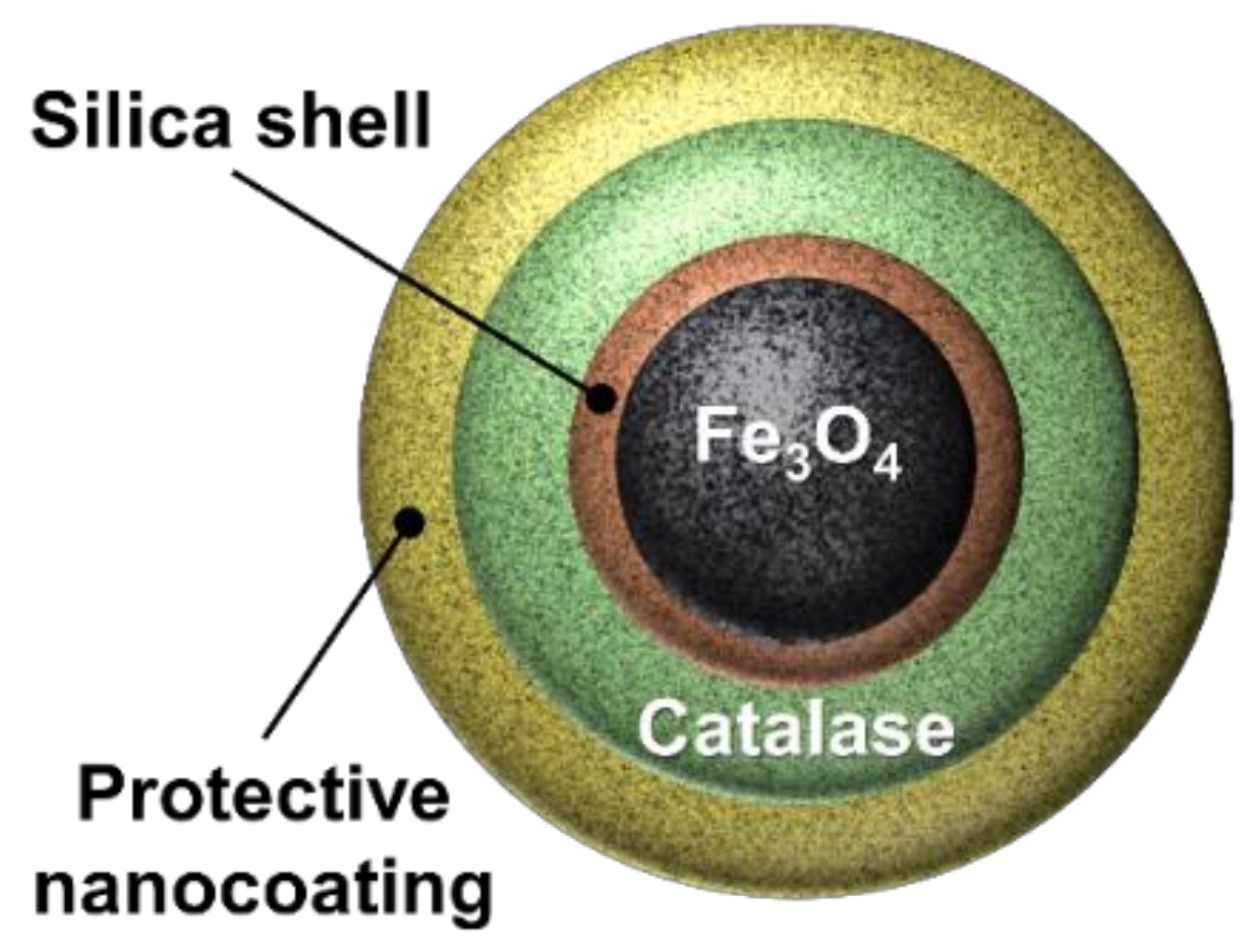 Catalysts 09 00163 g055