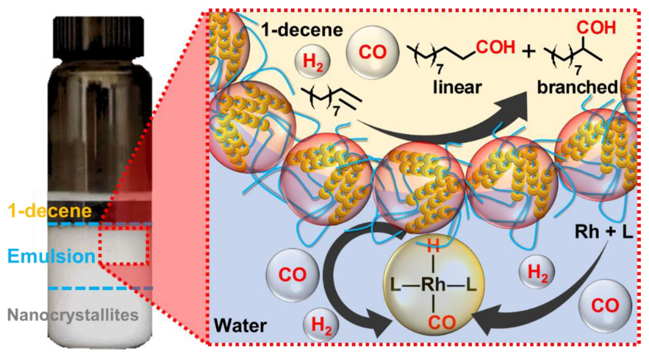 Catalysts 09 00163 g062
