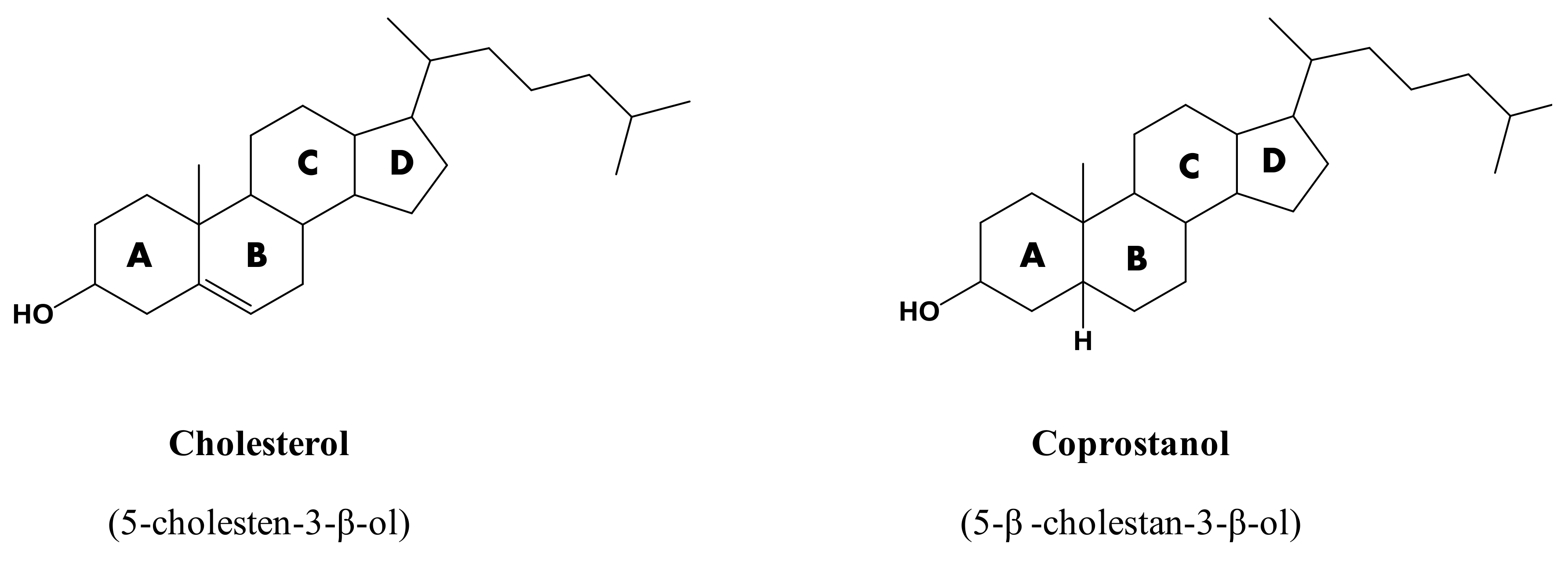 Catalysts | Free Full-Text | Microbial Reduction of Cholesterol to  Coprostanol: An Old Concept and New Insights