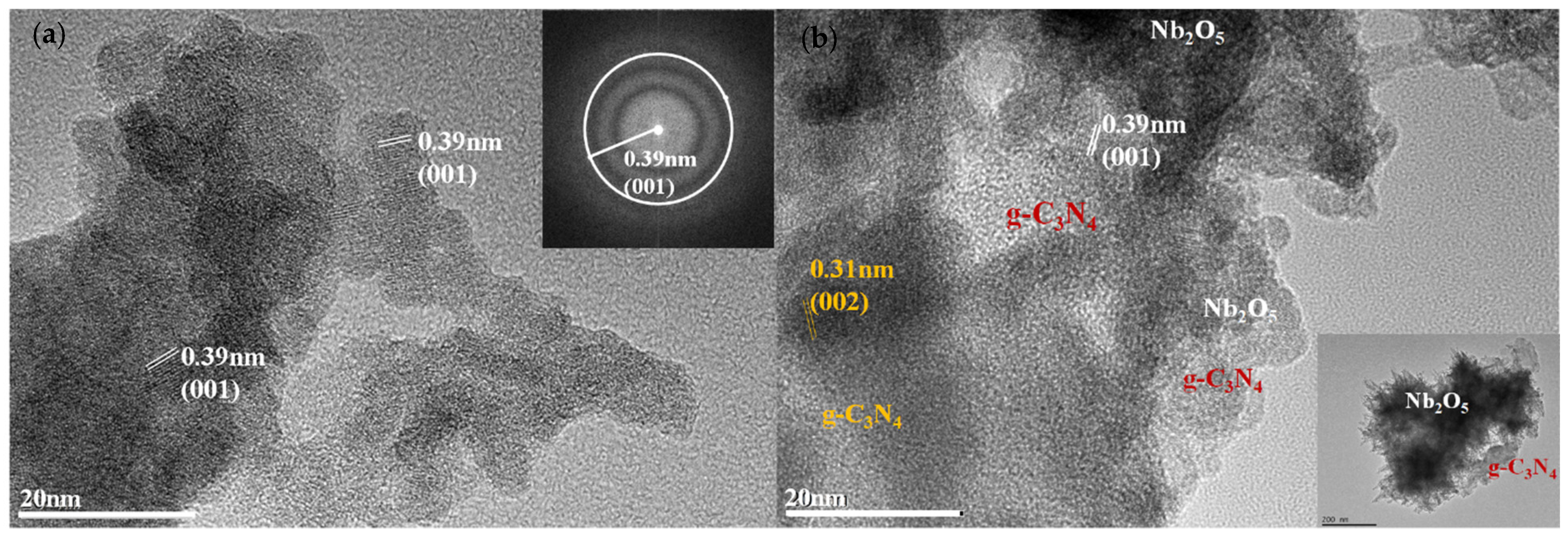 Catalysts 09 00169 g007