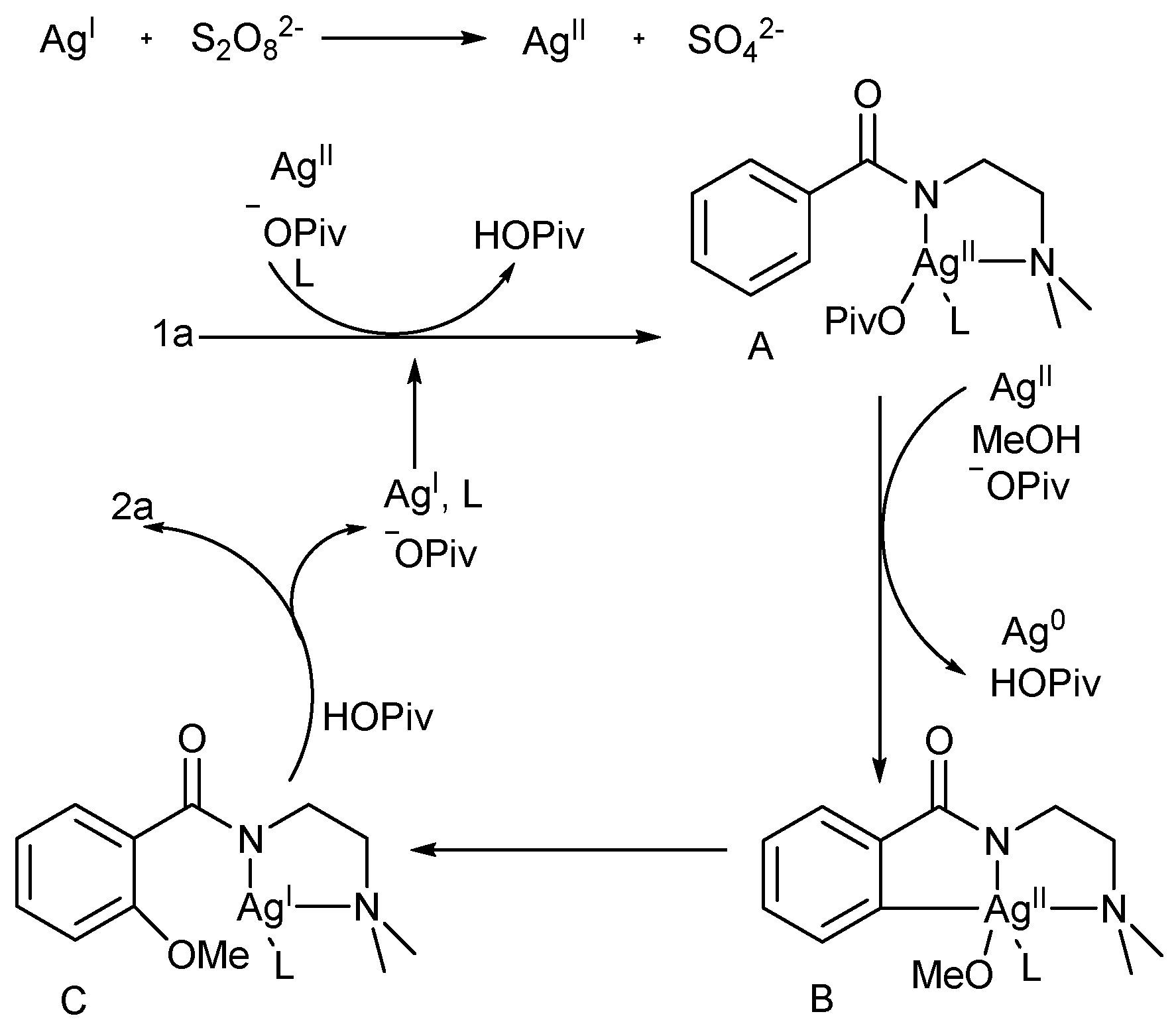Catalysts 09 00171 sch004
