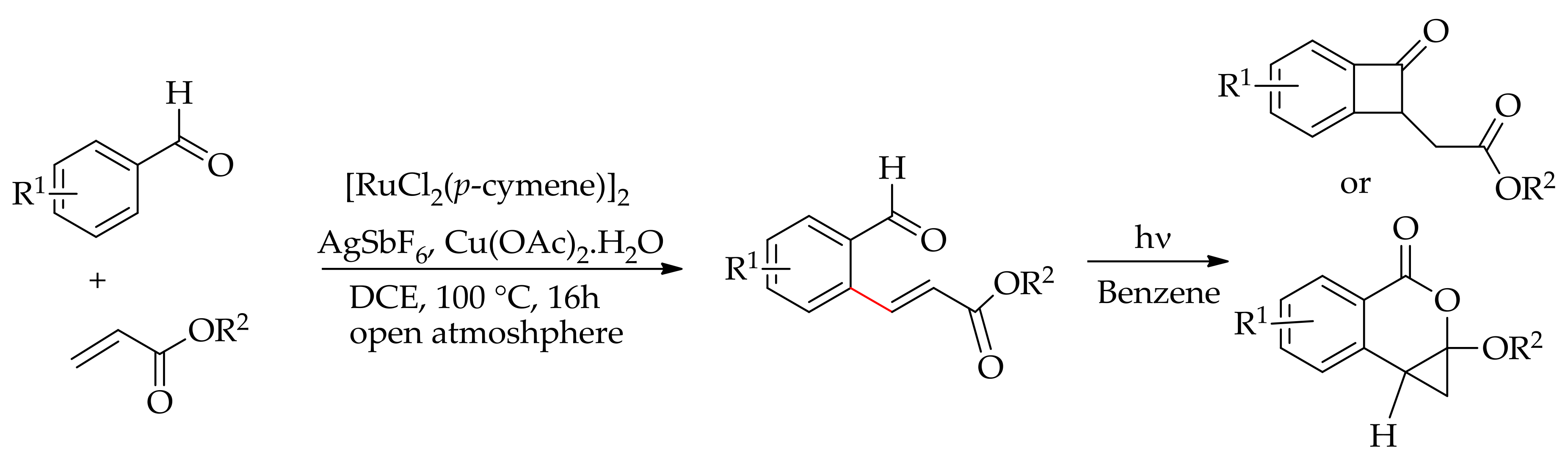 Catalysts 09 00173 sch057