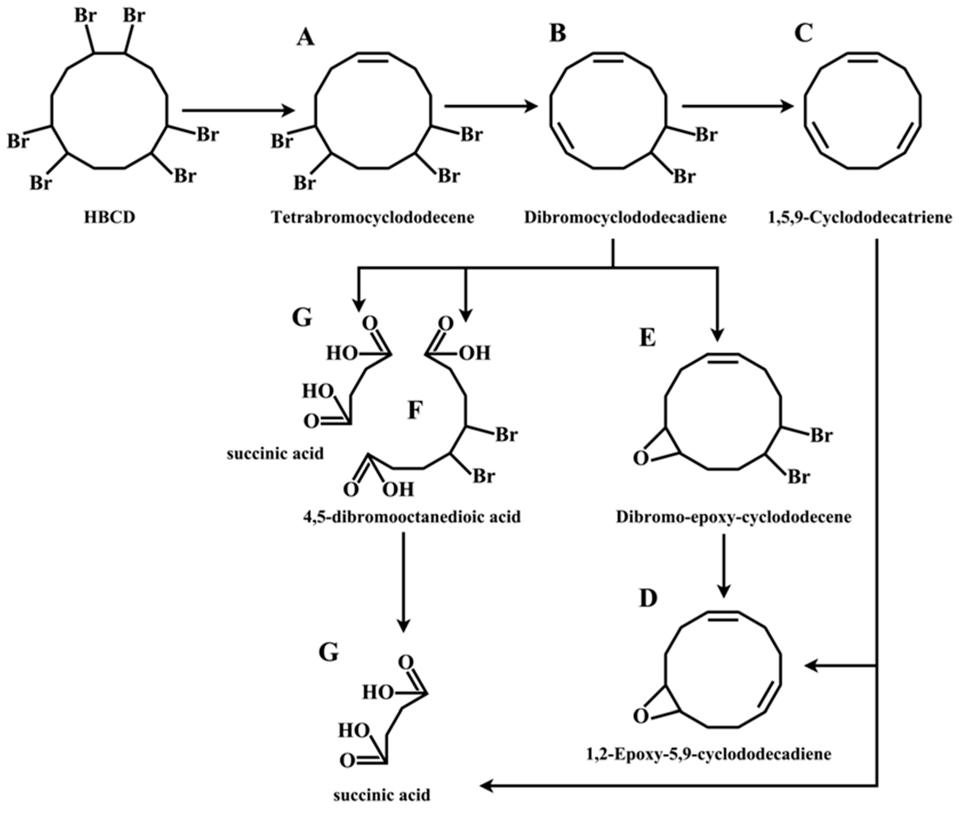 Catalysts 09 00189 g007