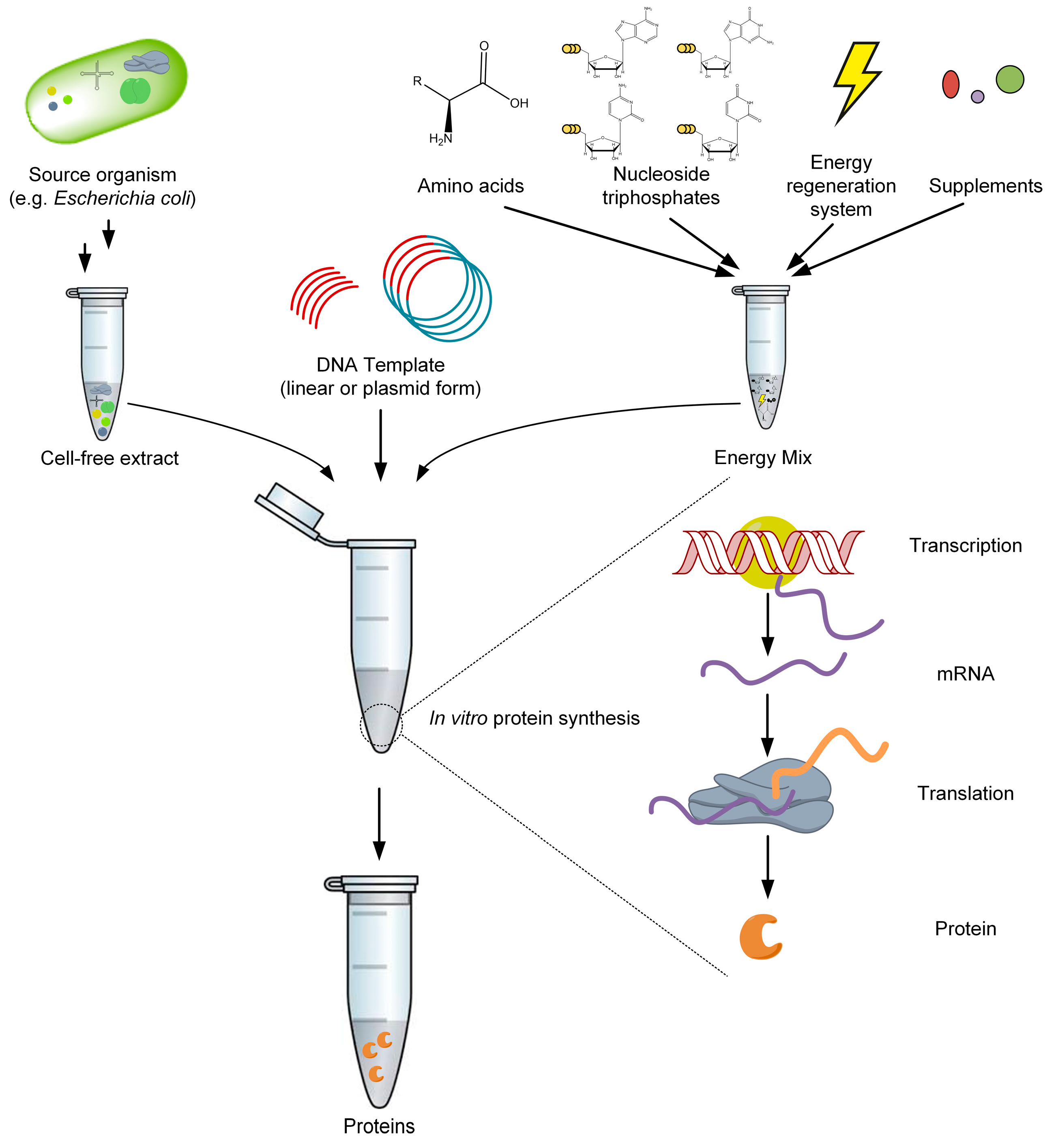 Catalysts 09 00190 g003 Catalysts 09 00190 g003