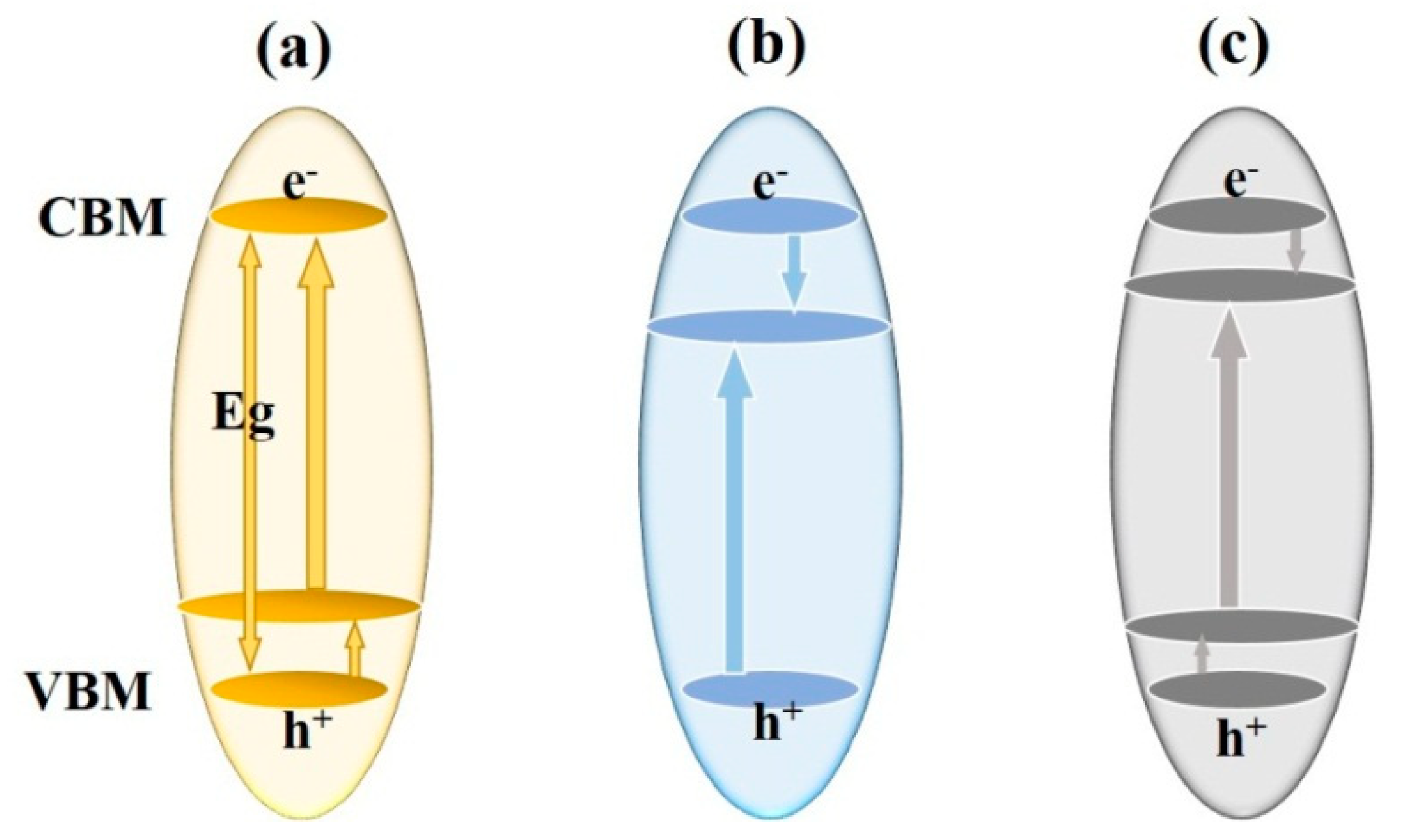 Catalysts 09 00191 g003