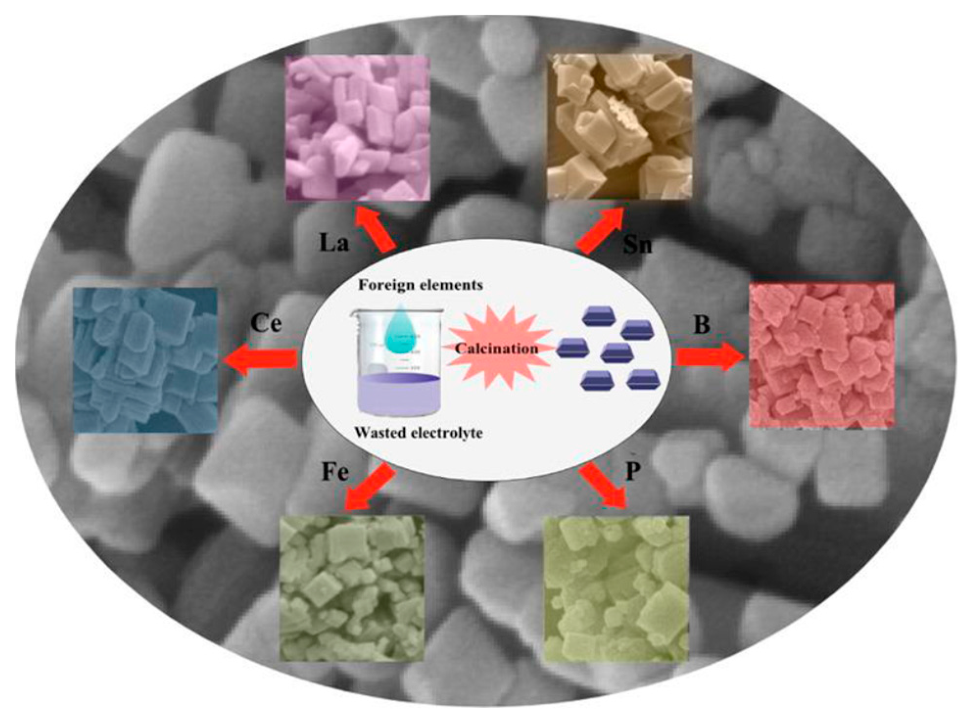 Catalysts 09 00191 g004