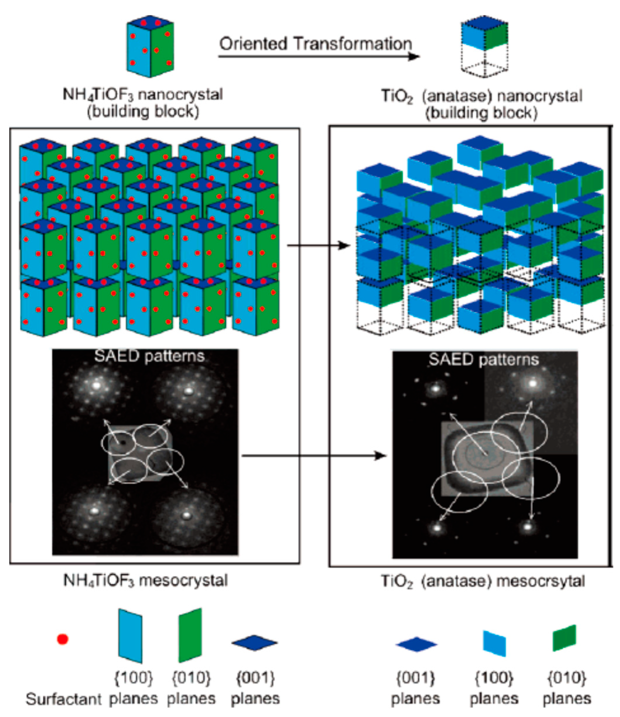 Catalysts 09 00191 g017