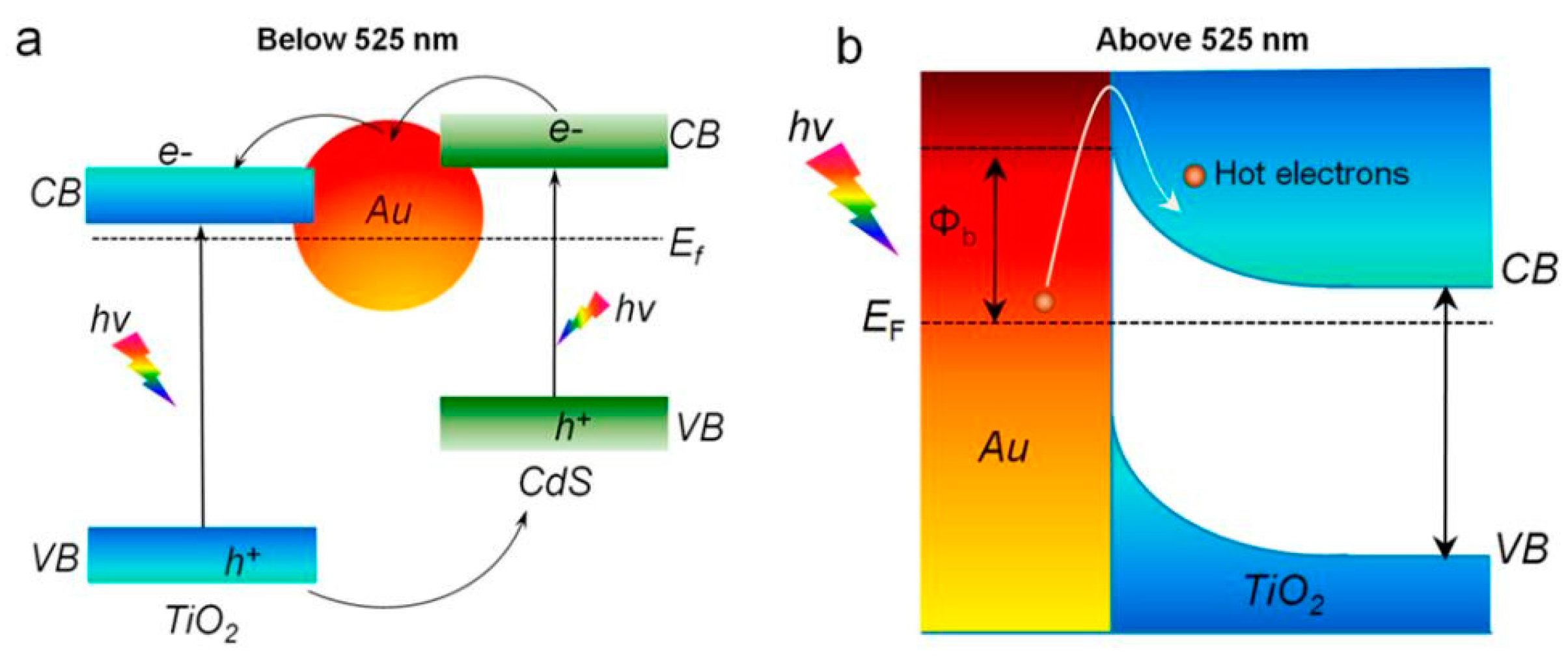 Catalysts 09 00191 g020