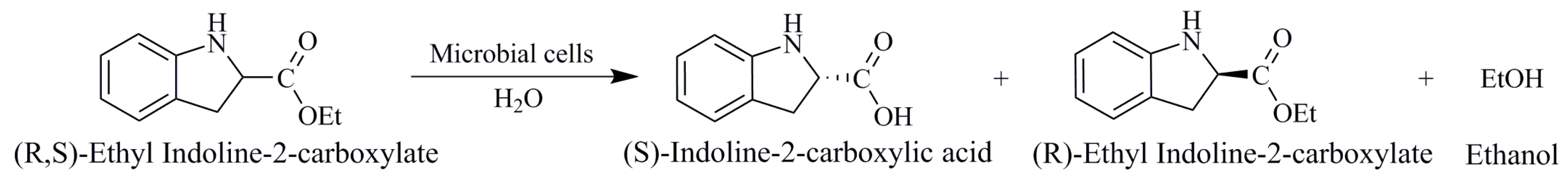 Catalysts 09 00206 g001