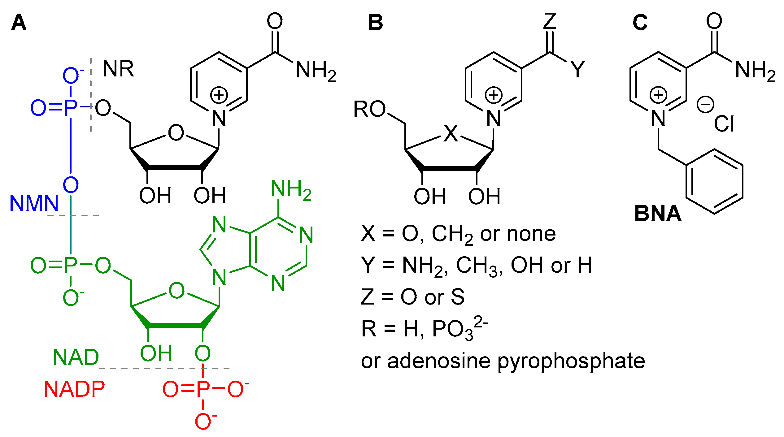 Catalysts 09 00207 g001