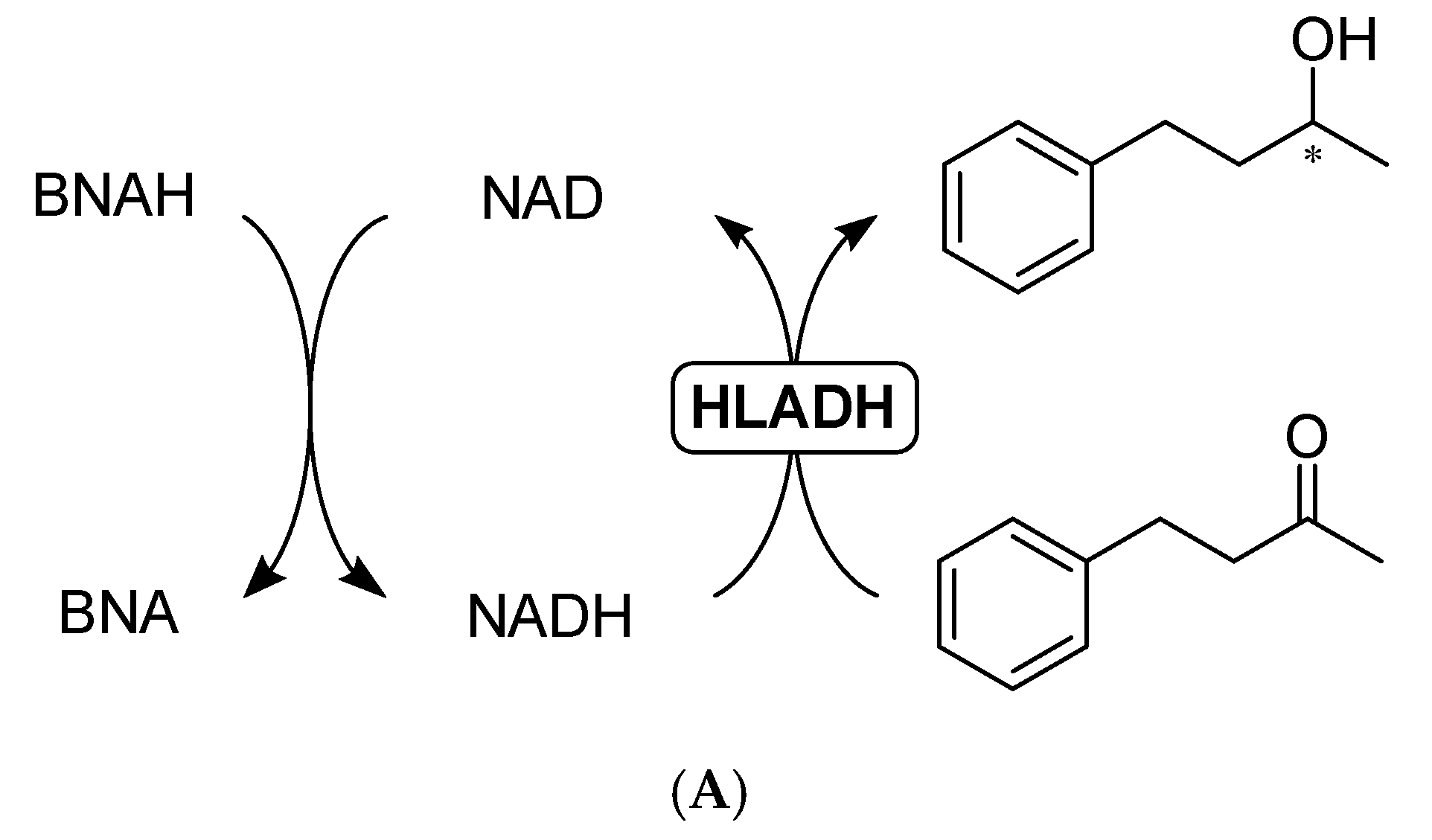 Catalysts 09 00207 g005a