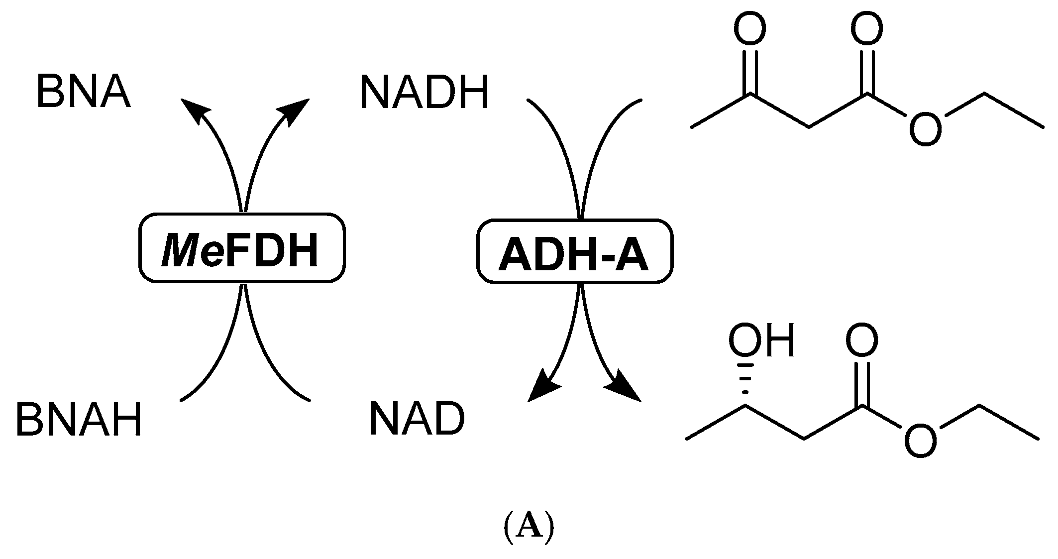 Catalysts 09 00207 g006a