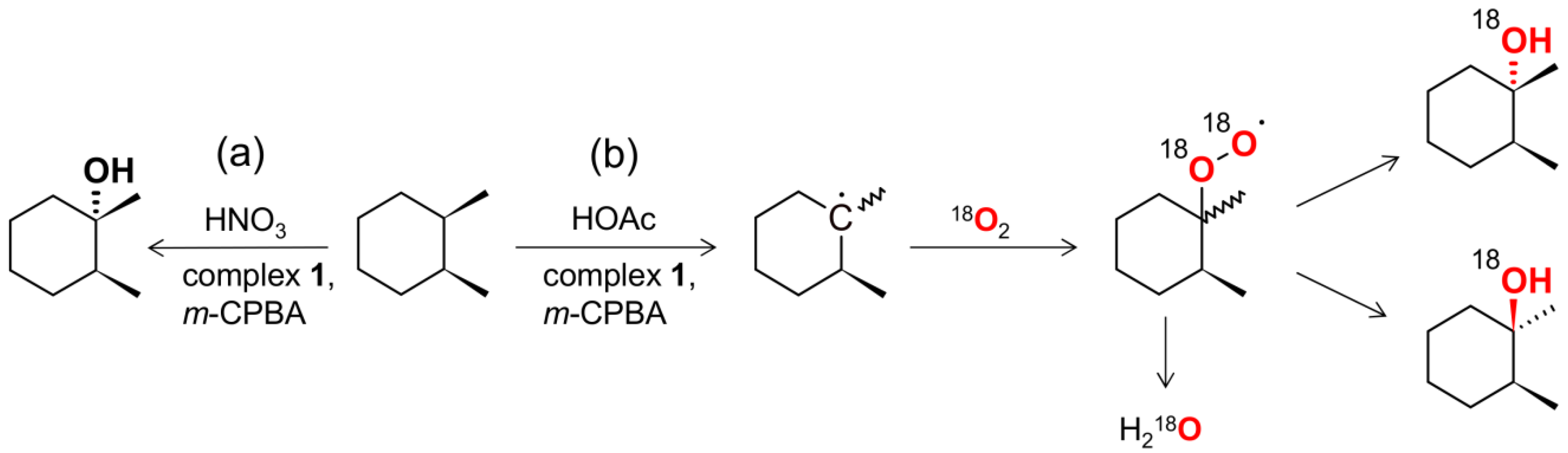 Catalysts 09 00209 sch002 Catalysts 09 00209 sch002