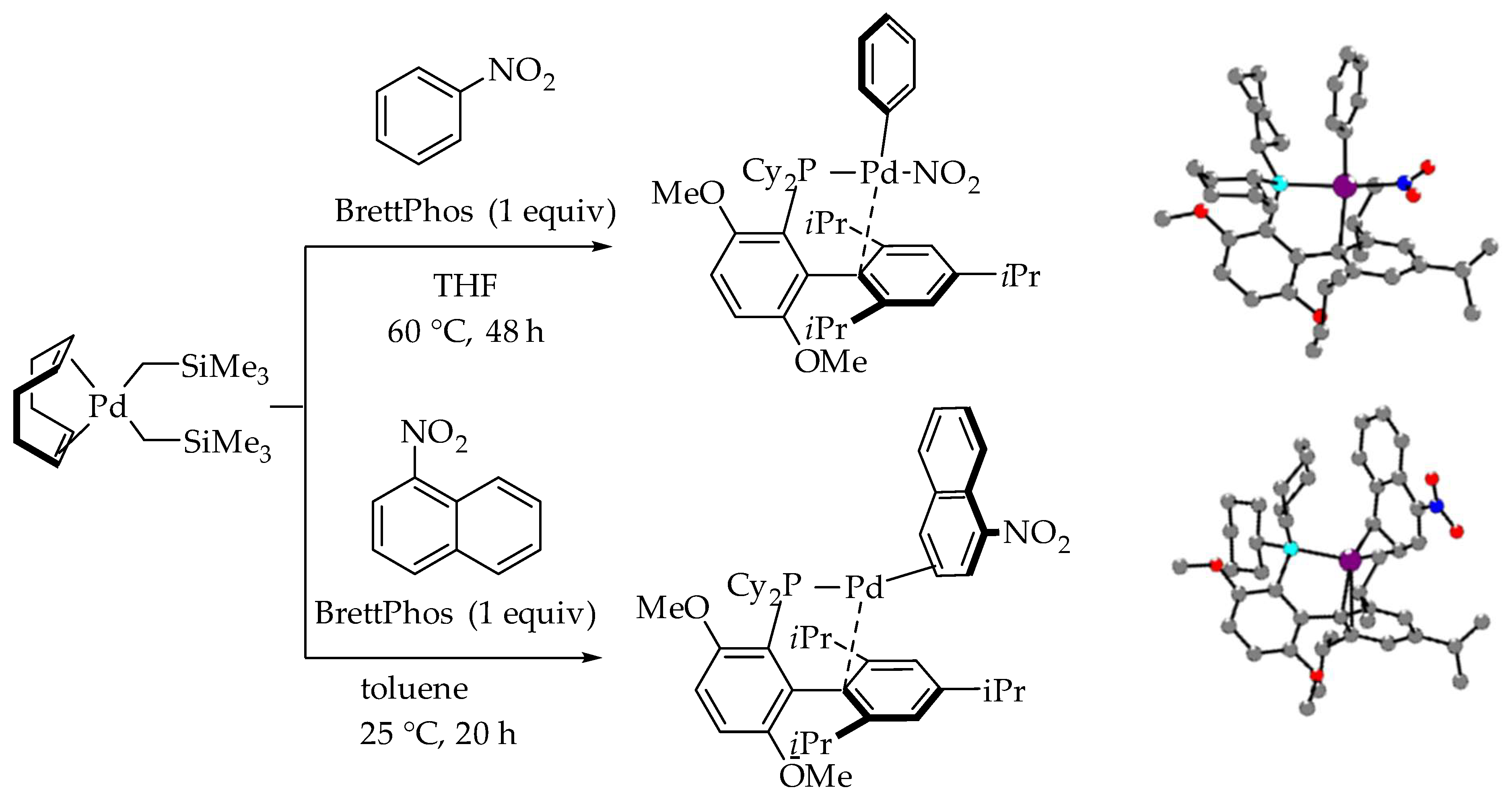 Catalysts 09 00213 g003 Catalysts 09 00213 g003