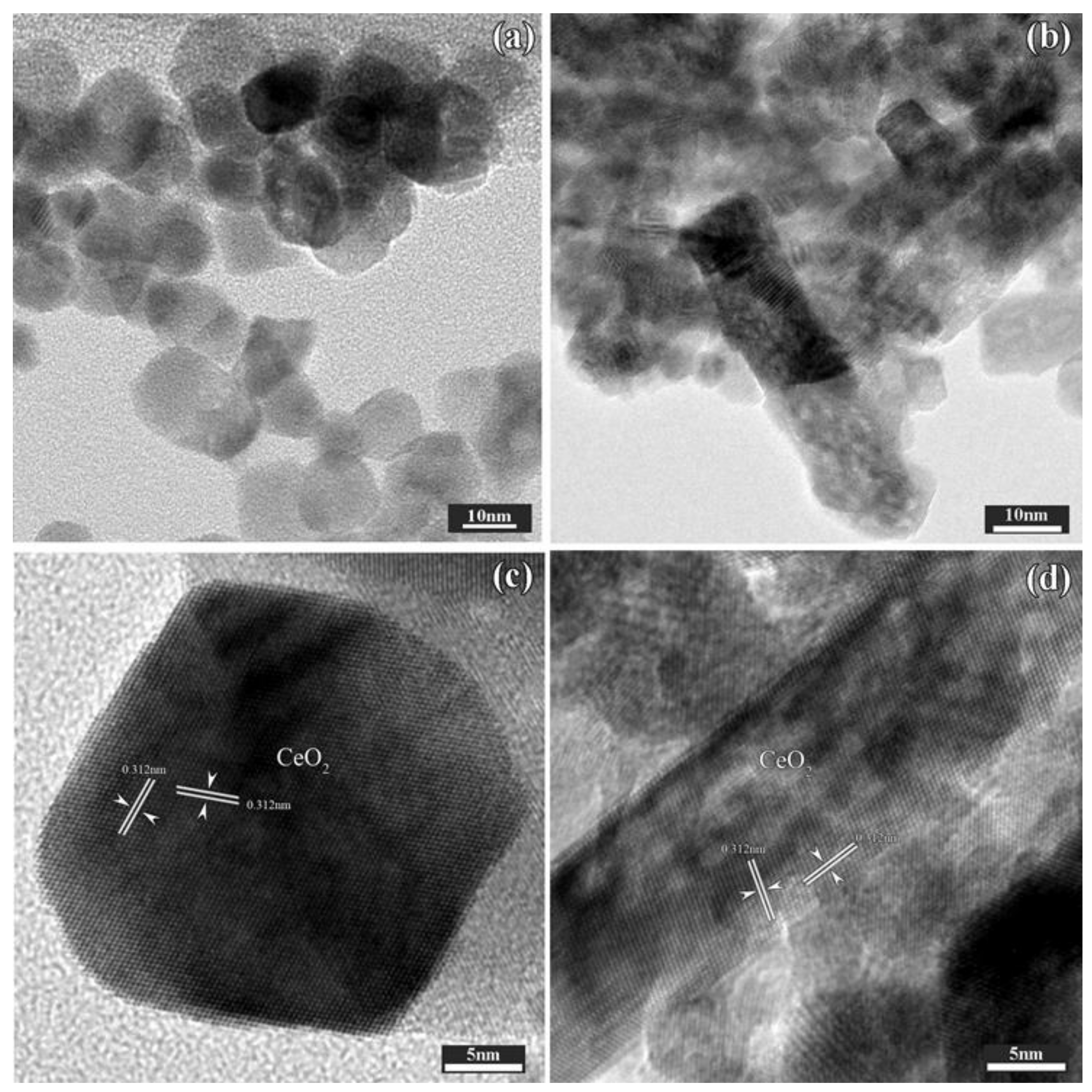 Catalysts 09 00219 g002