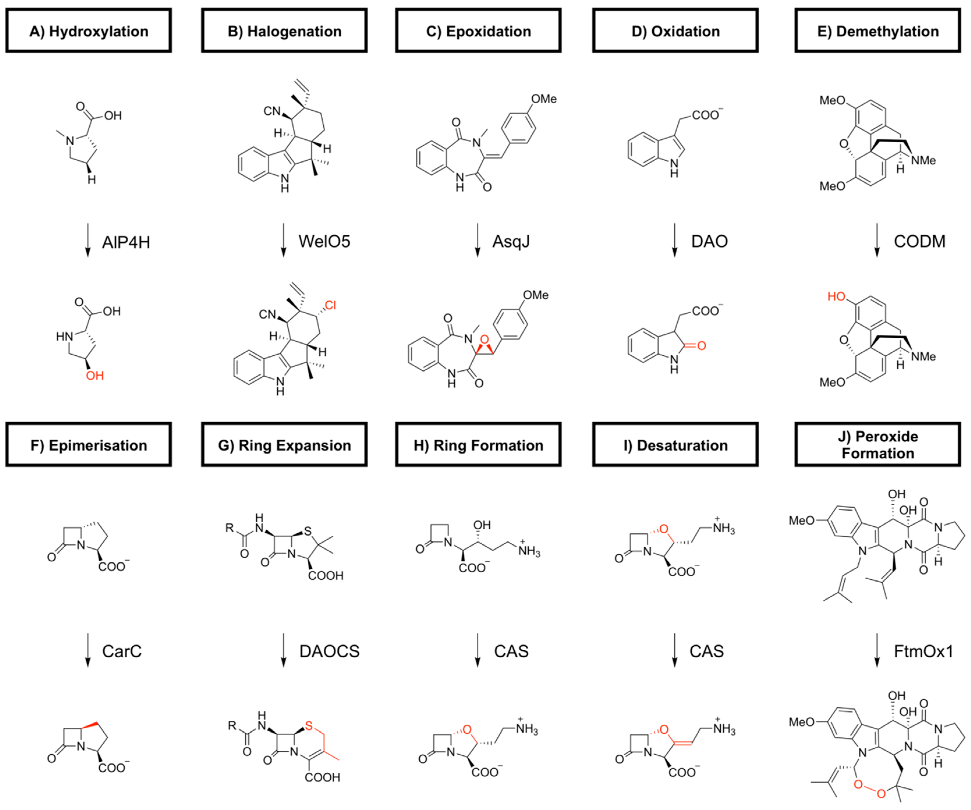 Catalysts 09 00221 g001 Catalysts 09 00221 g001