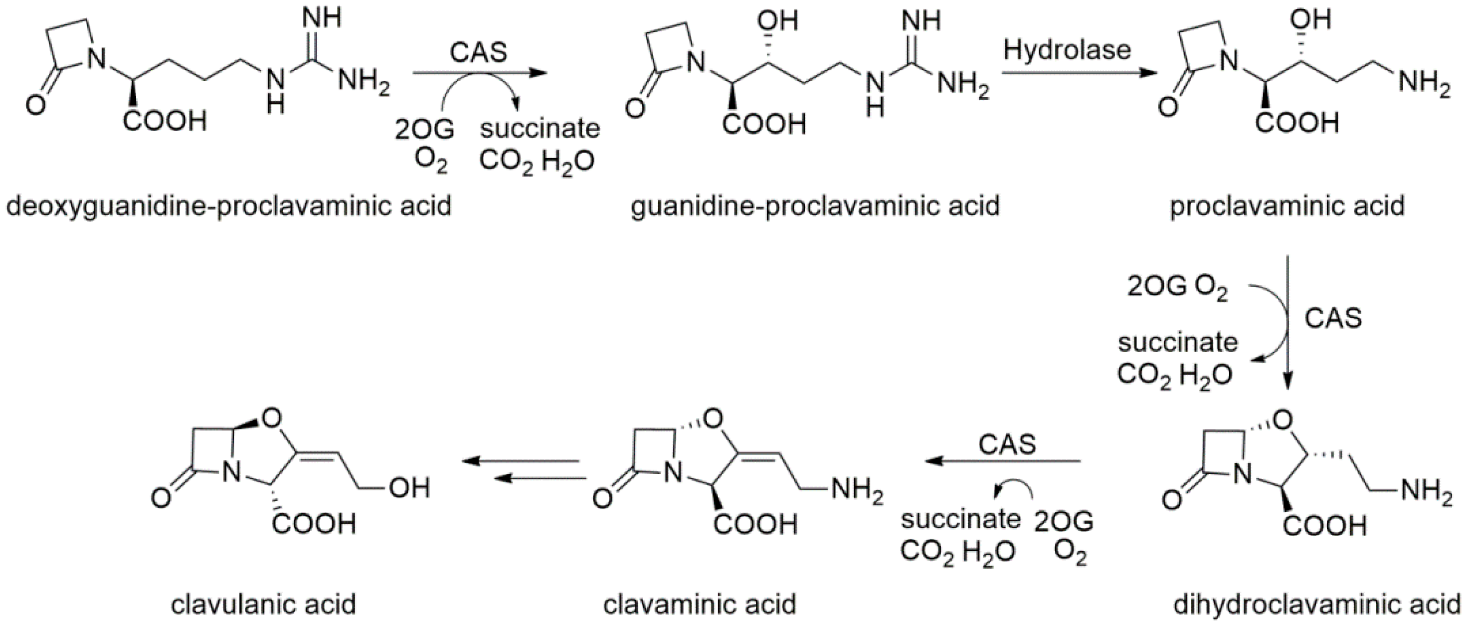 Catalysts 09 00221 g006 Catalysts 09 00221 g006