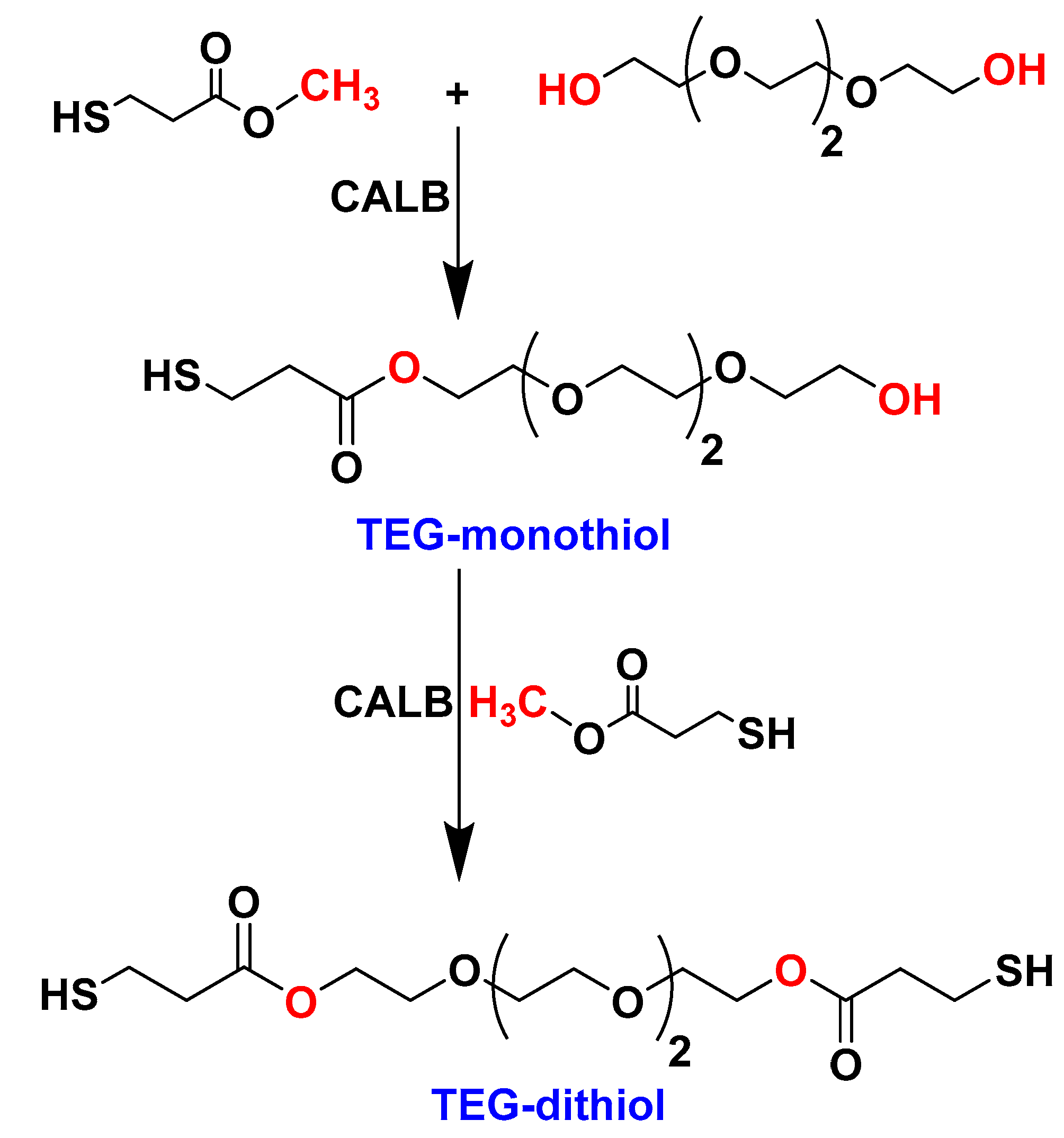 Catalysts 09 00228 g003 Catalysts 09 00228 g003