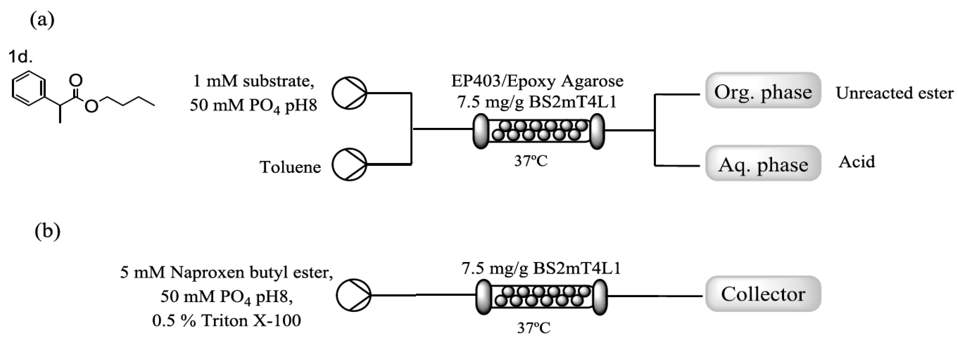 Catalysts 09 00232 g003 Catalysts 09 00232 g003