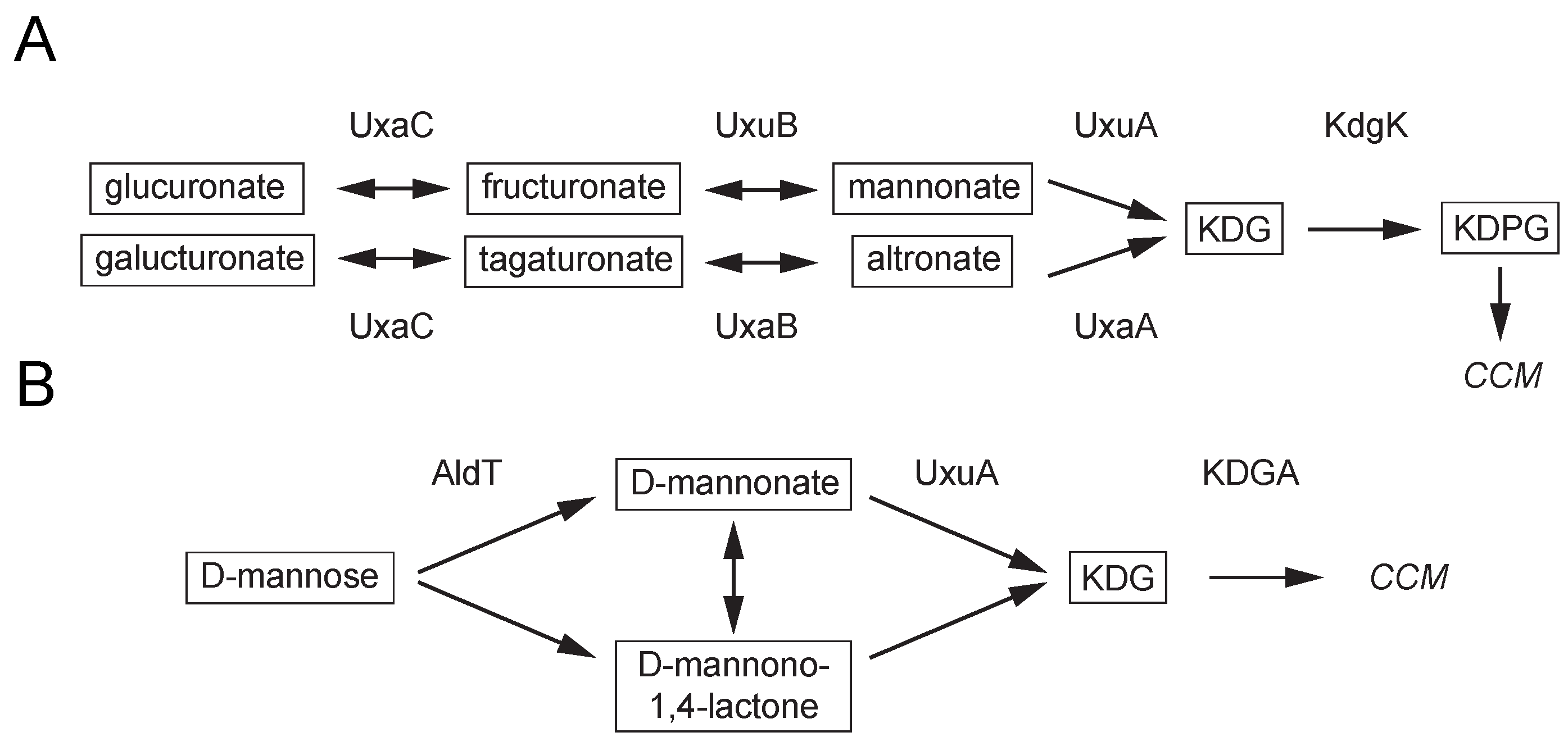 Catalysts 09 00234 g001