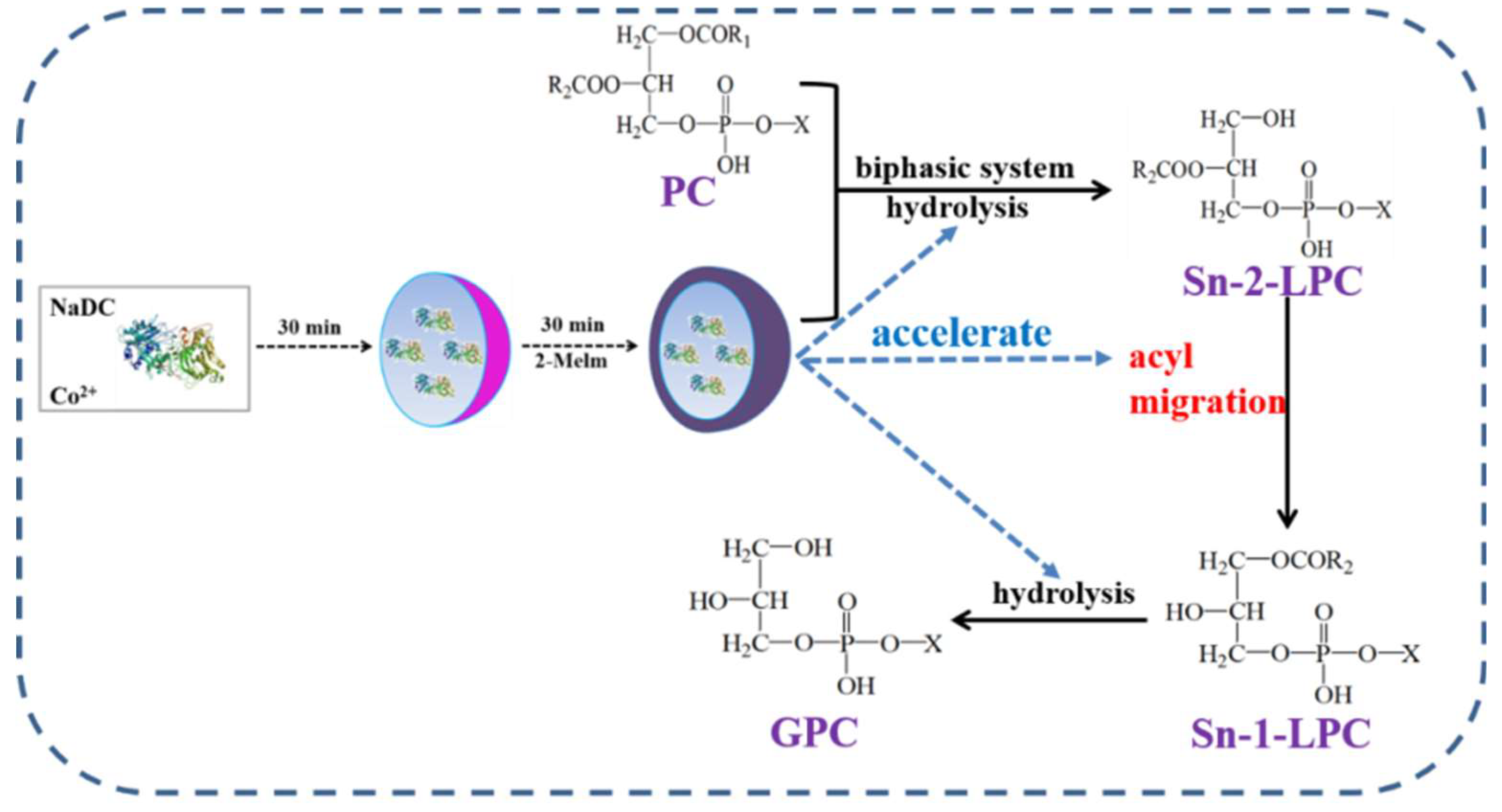 Catalysts 09 00237 sch001 Catalysts 09 00237 sch001