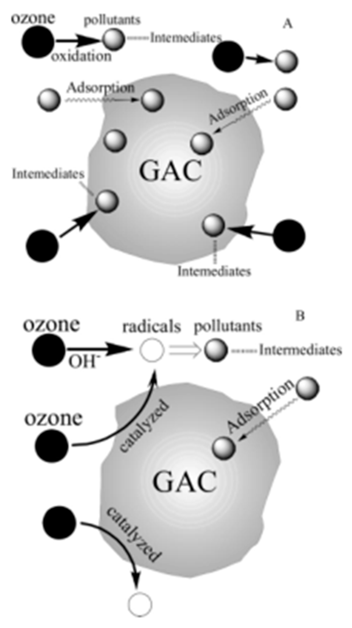 Catalysts 09 00241 g013 550
