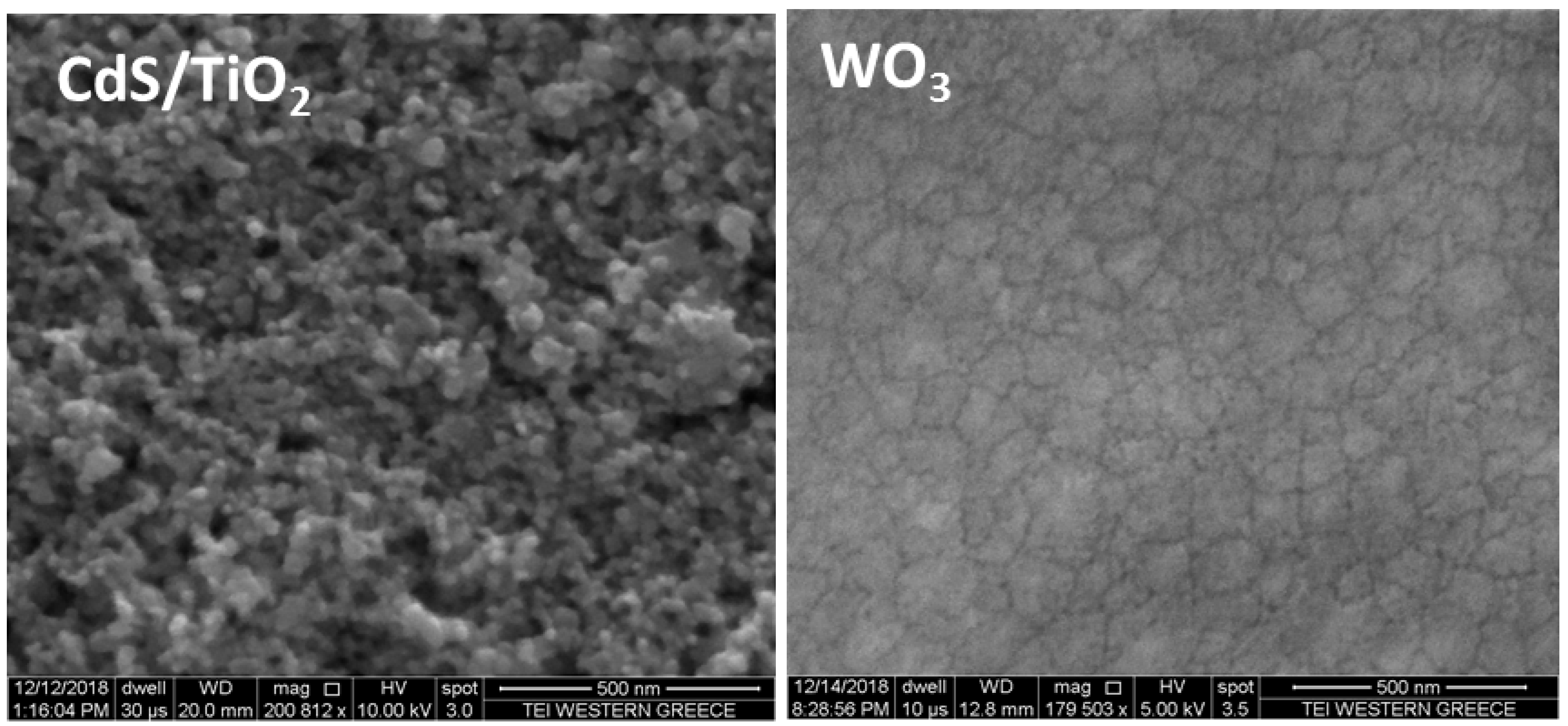 Catalysts 09 00243 g004 550