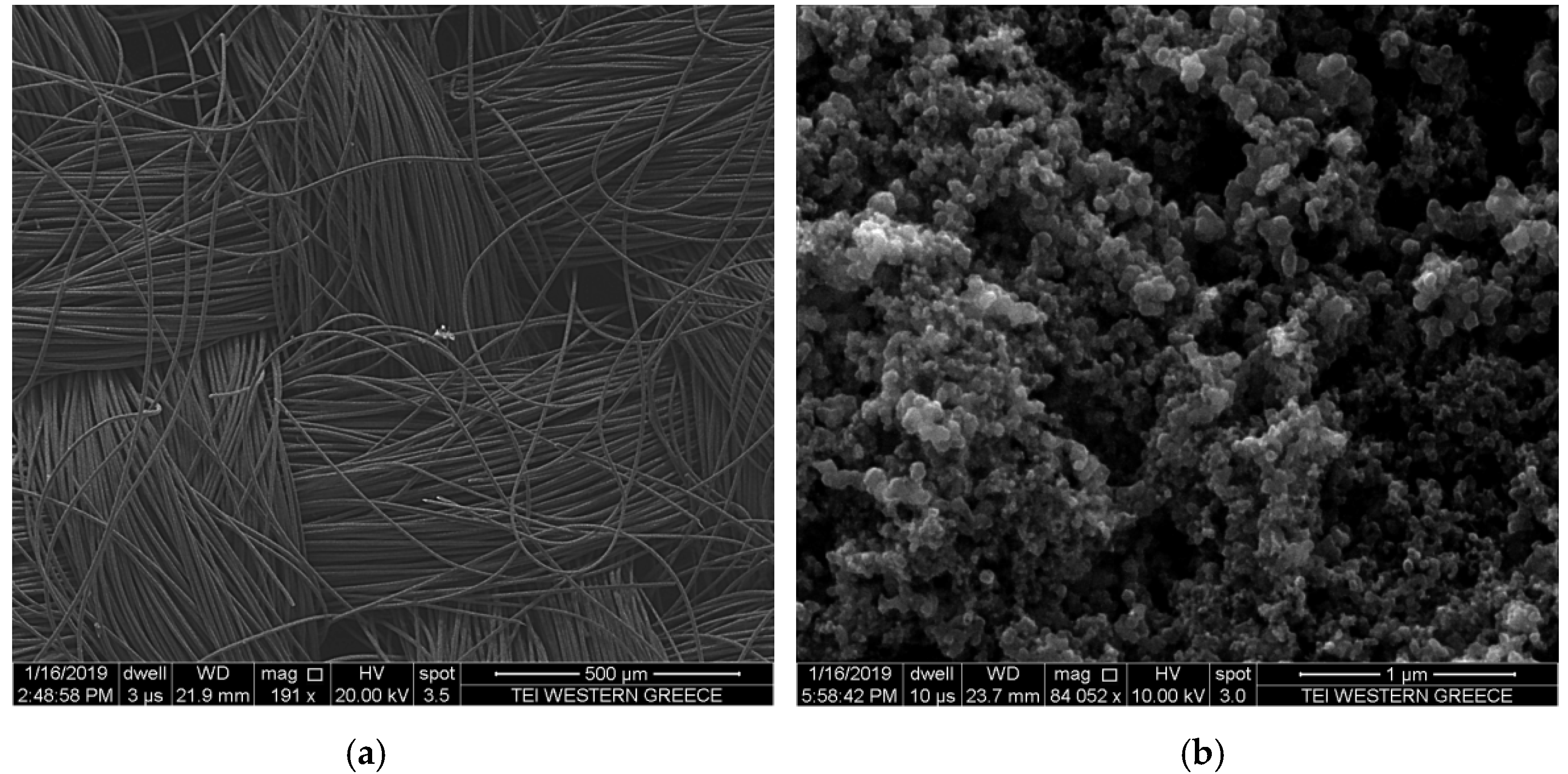Catalysts 09 00243 g005 550