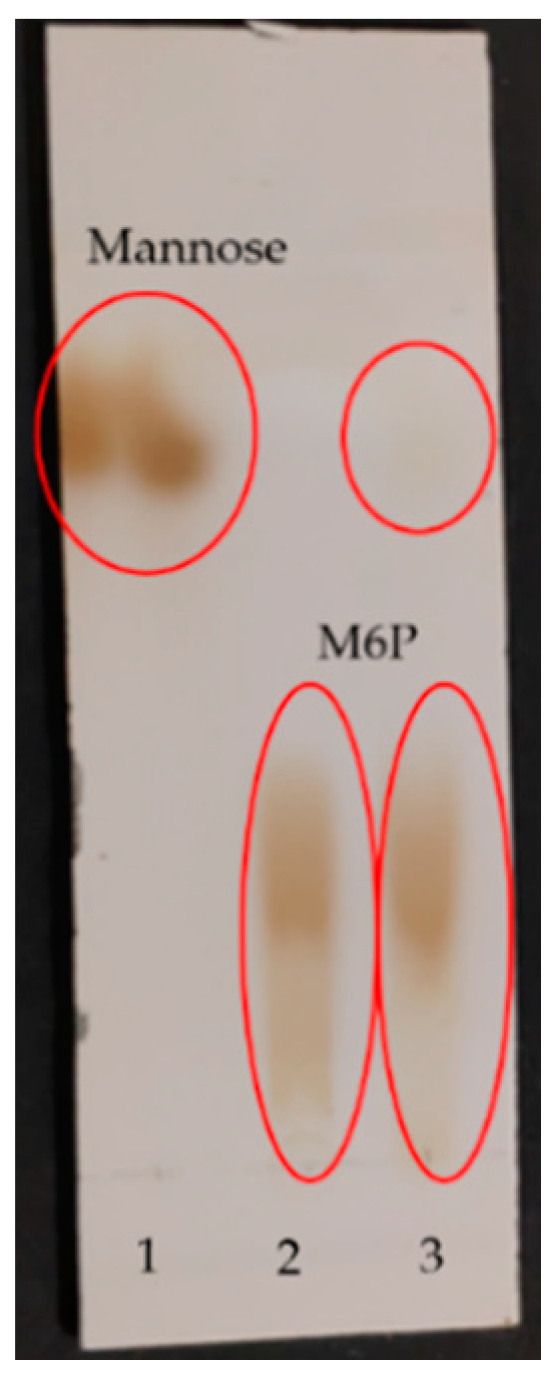 Catalysts 09 00250 g002