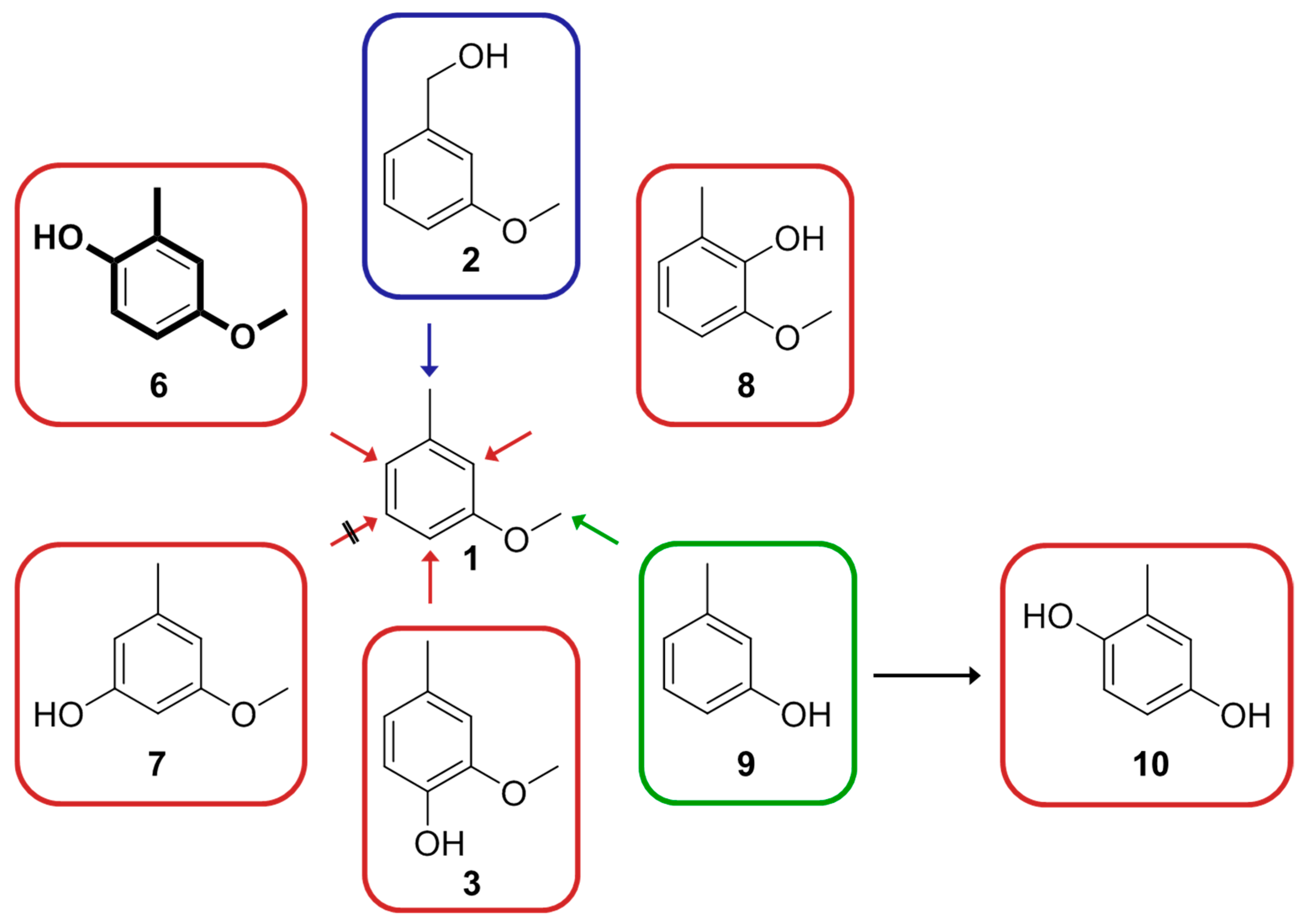 Catalysts 09 00252 g001