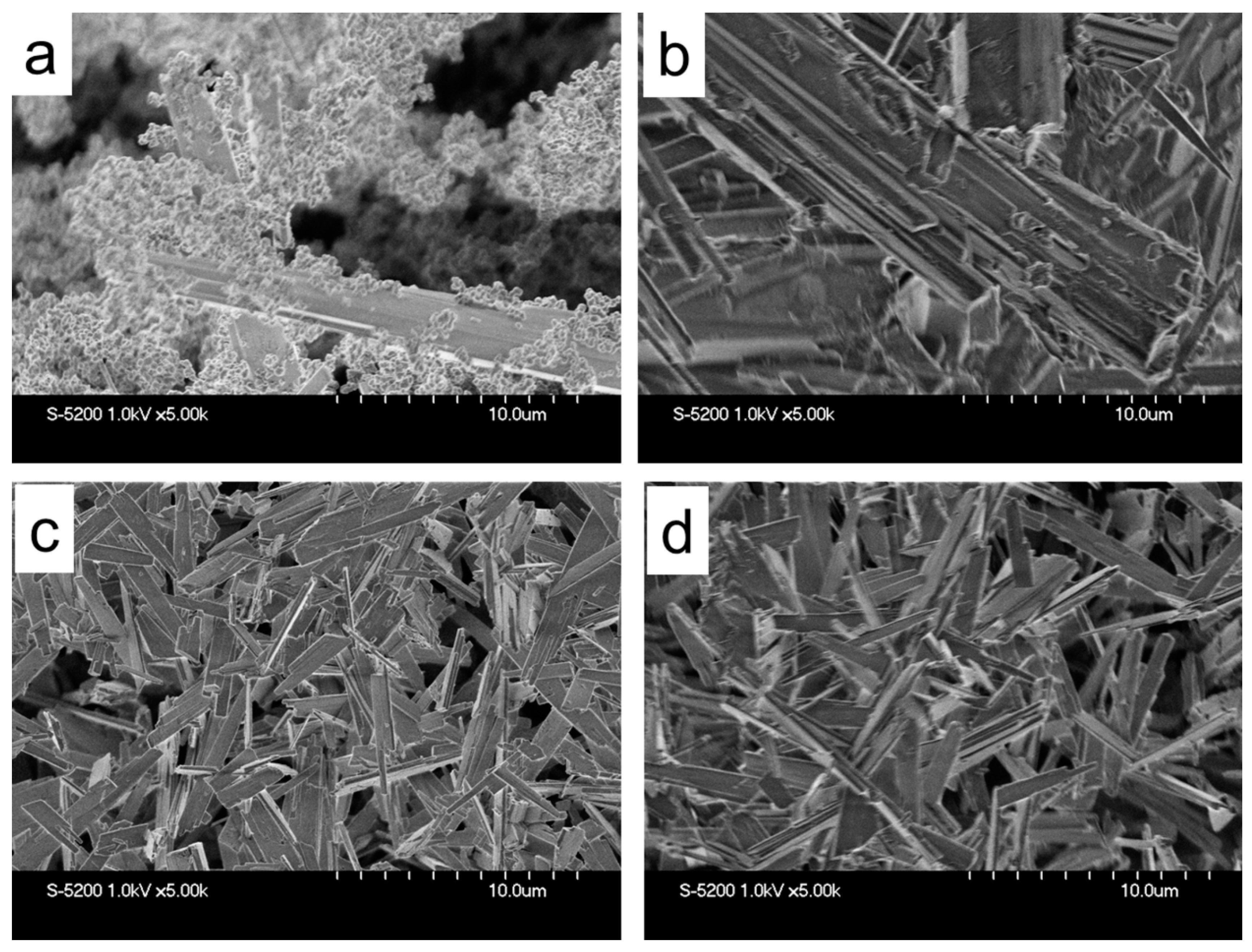 Catalysts 09 00257 g002
