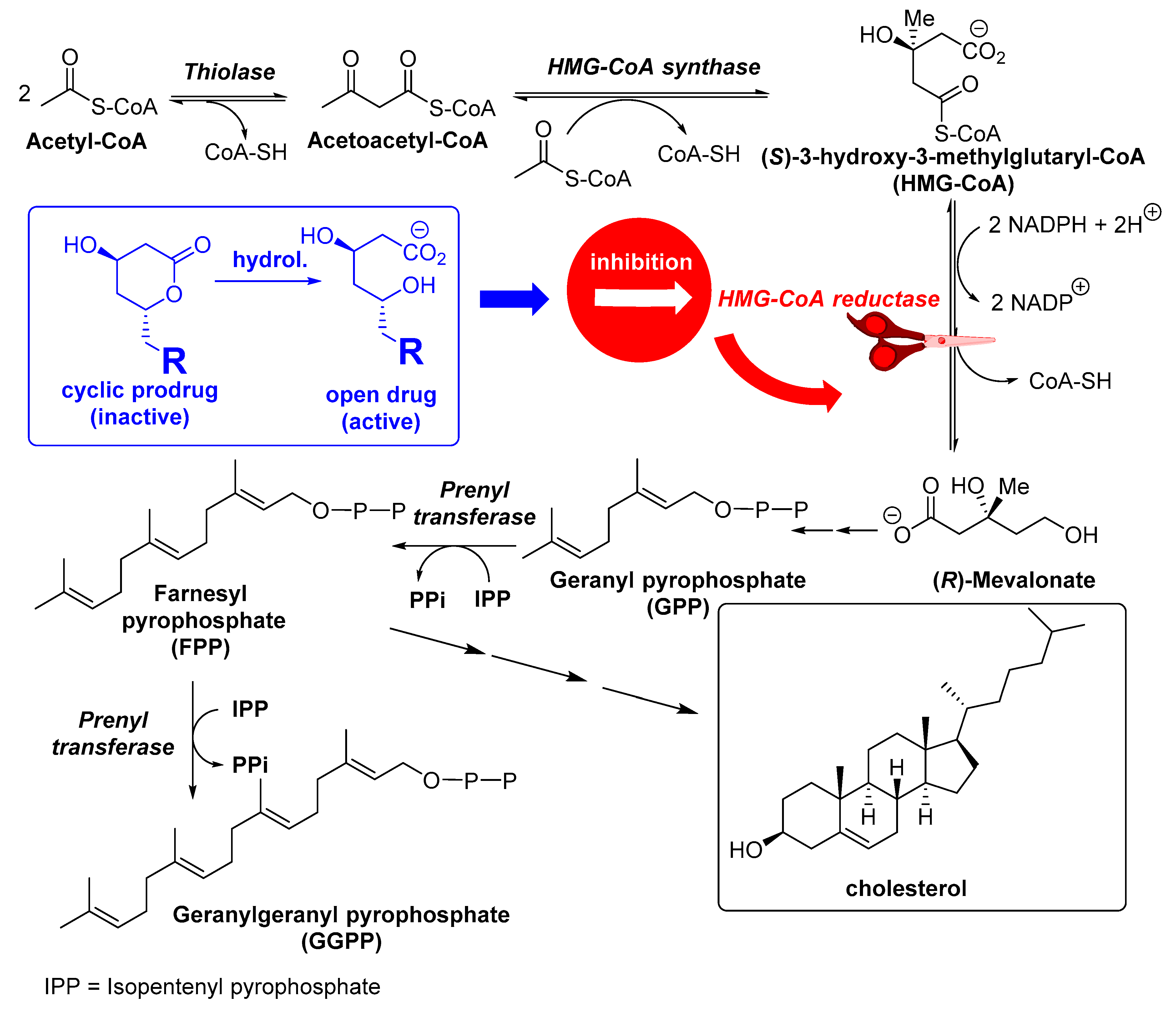 Catalysts 09 00260 g002