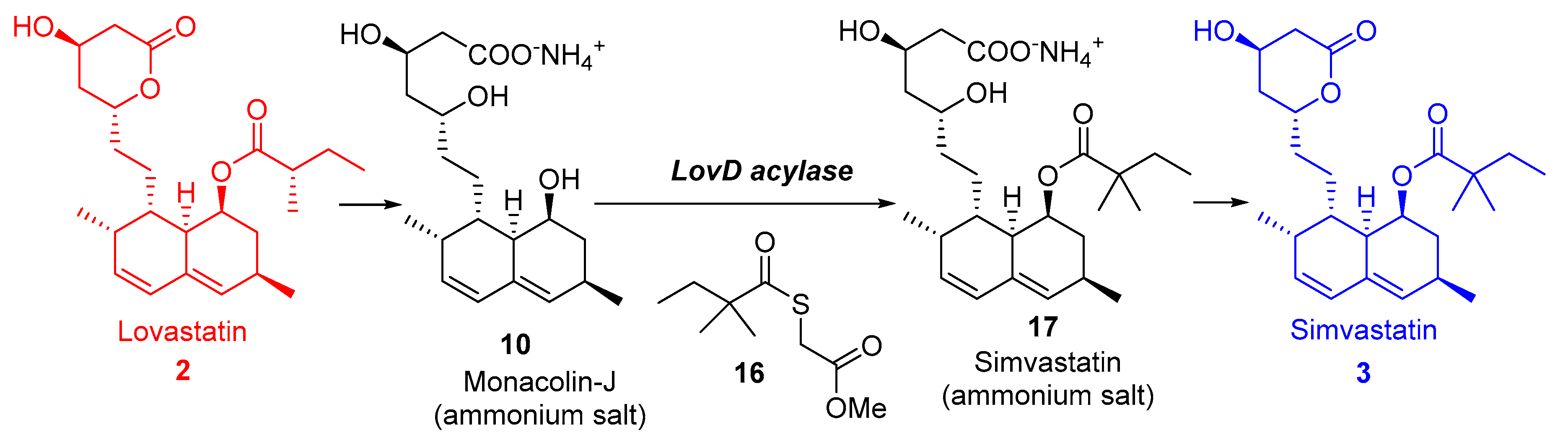 Catalysts Free Full Text Biocatalyzed Synthesis Of Statins A