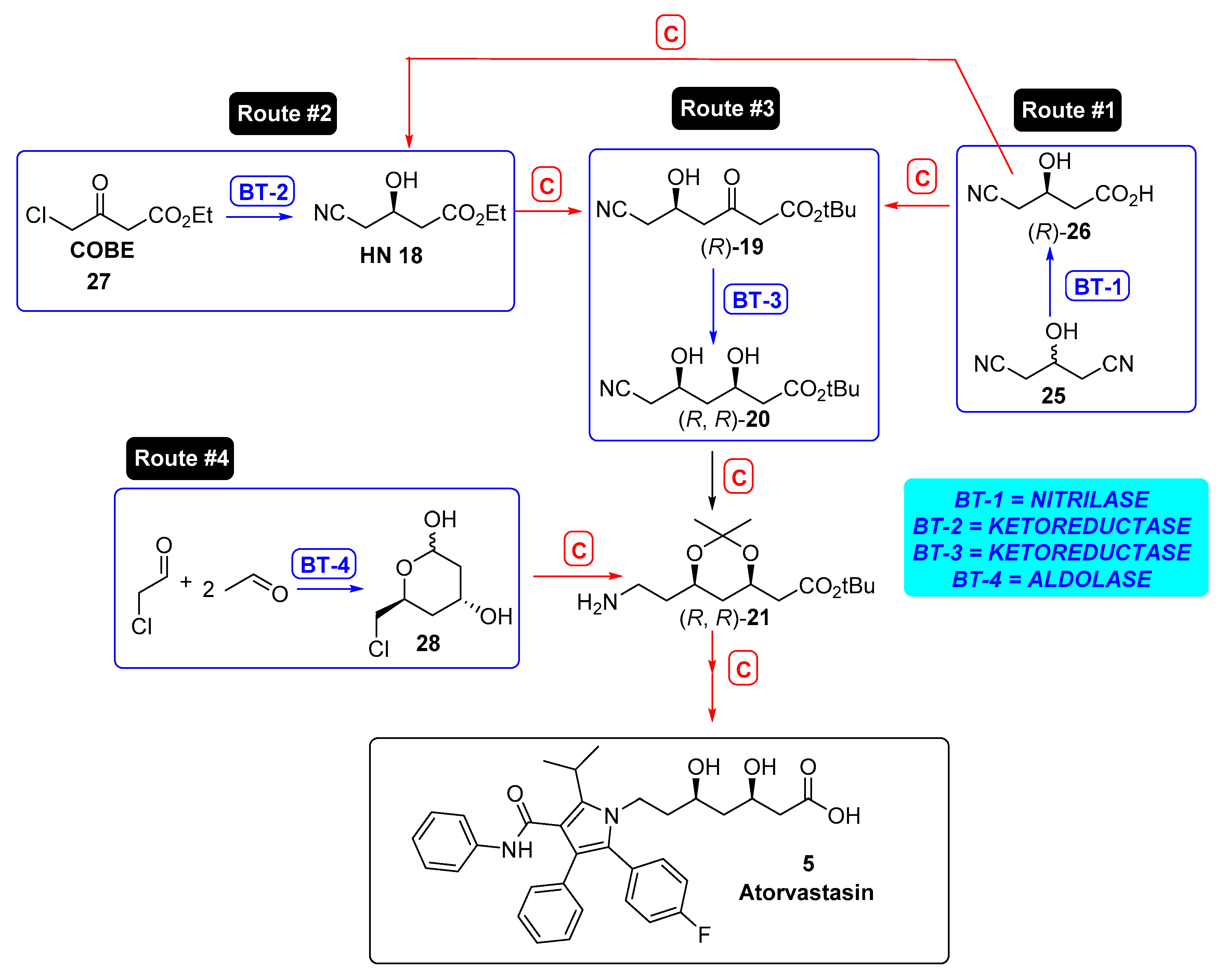 Catalysts Free Full Text Biocatalyzed Synthesis Of Statins A