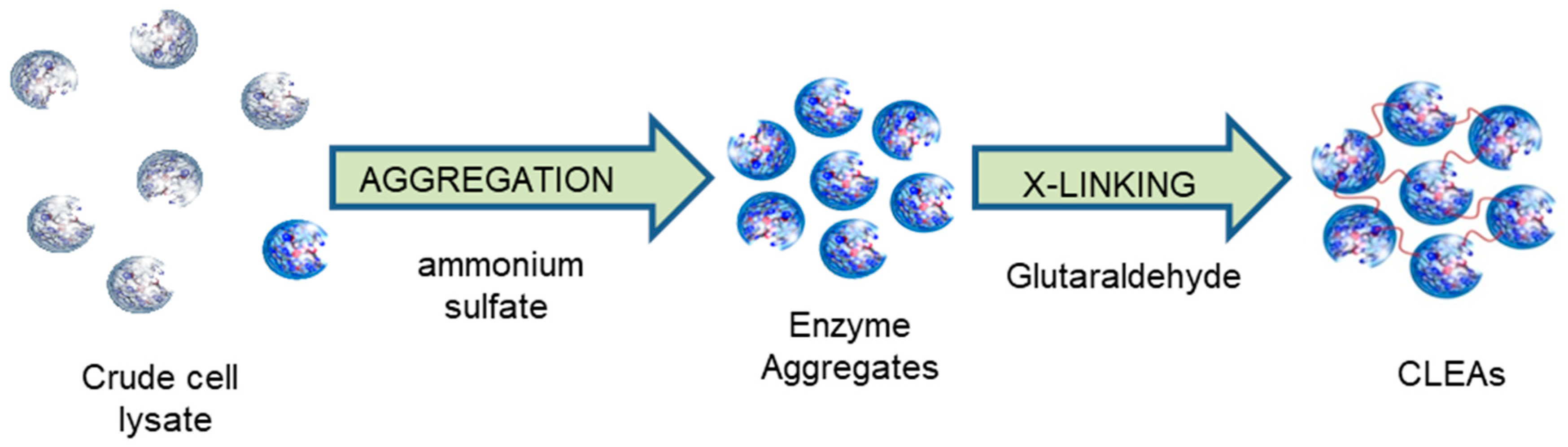 Catalysts 09 00261 g001