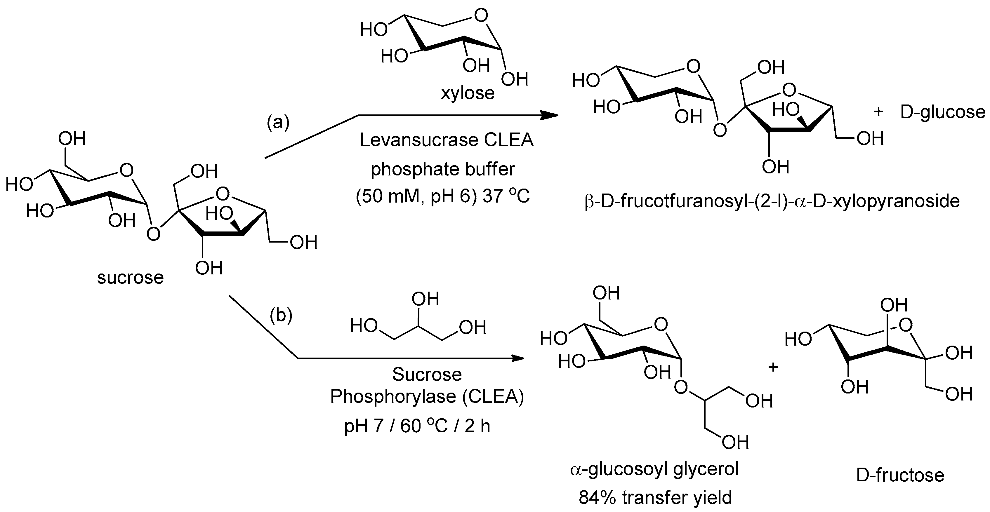 Catalysts 09 00261 g003