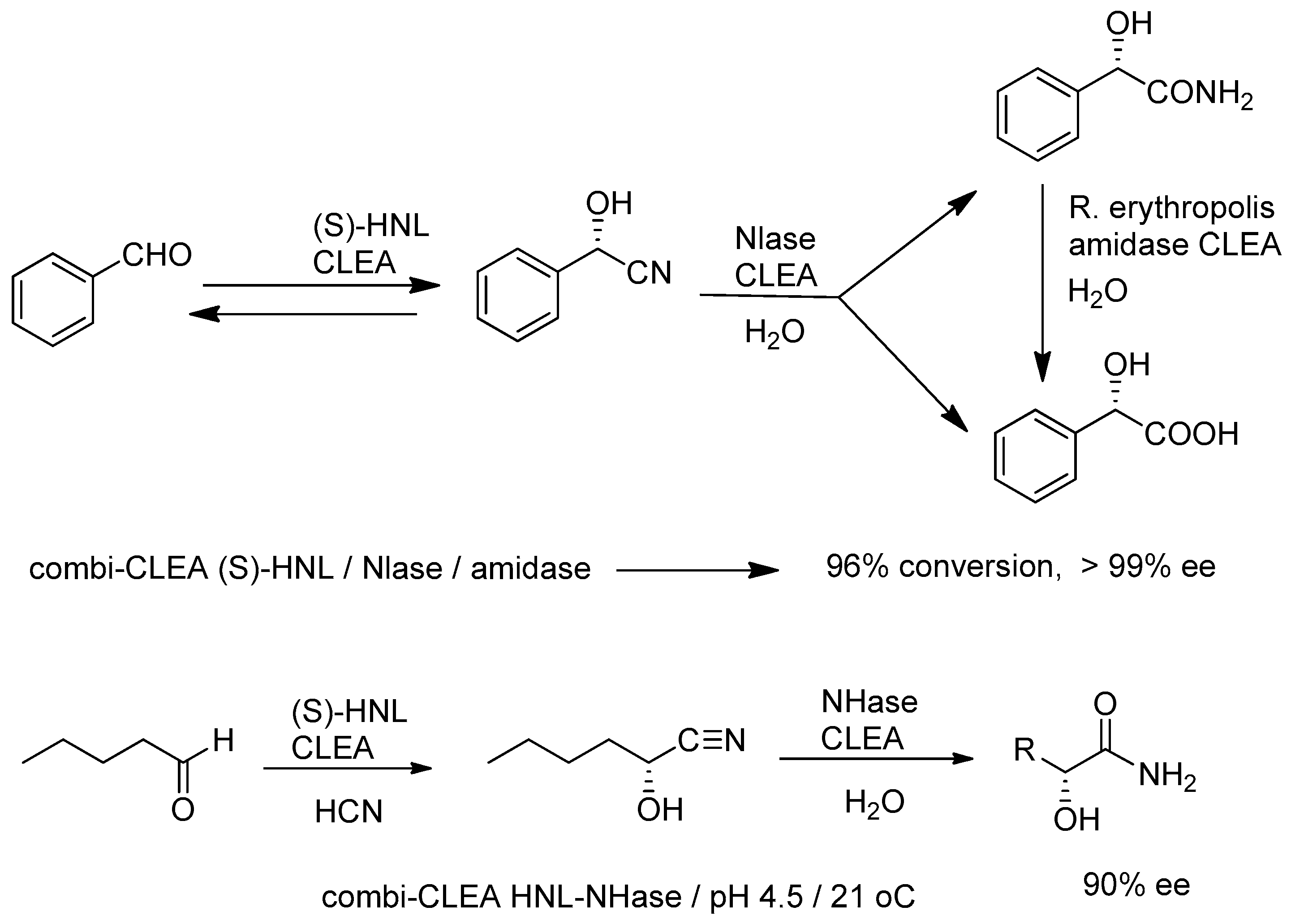 Catalysts 09 00261 g008