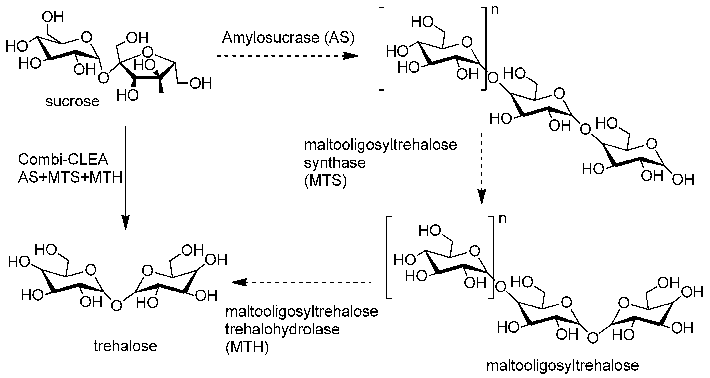 Catalysts 09 00261 g009