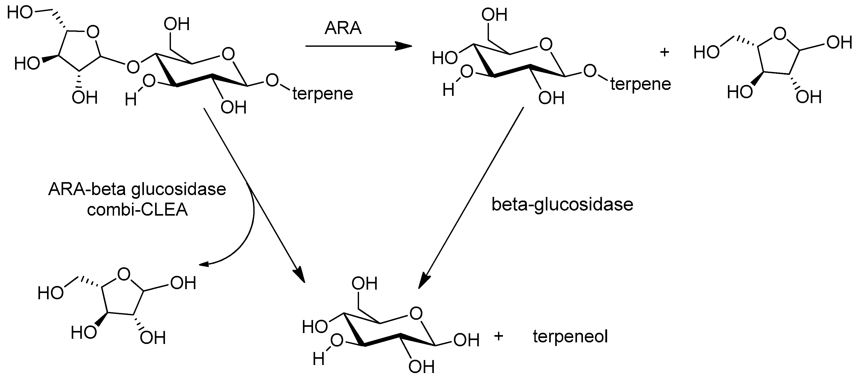 Catalysts 09 00261 g010