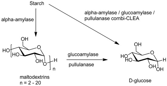 Catalysts Free Full Text Cleas Combi Cleas And Smart Magnetic Cleas Biocatalysis In A Bio Based Economy Html